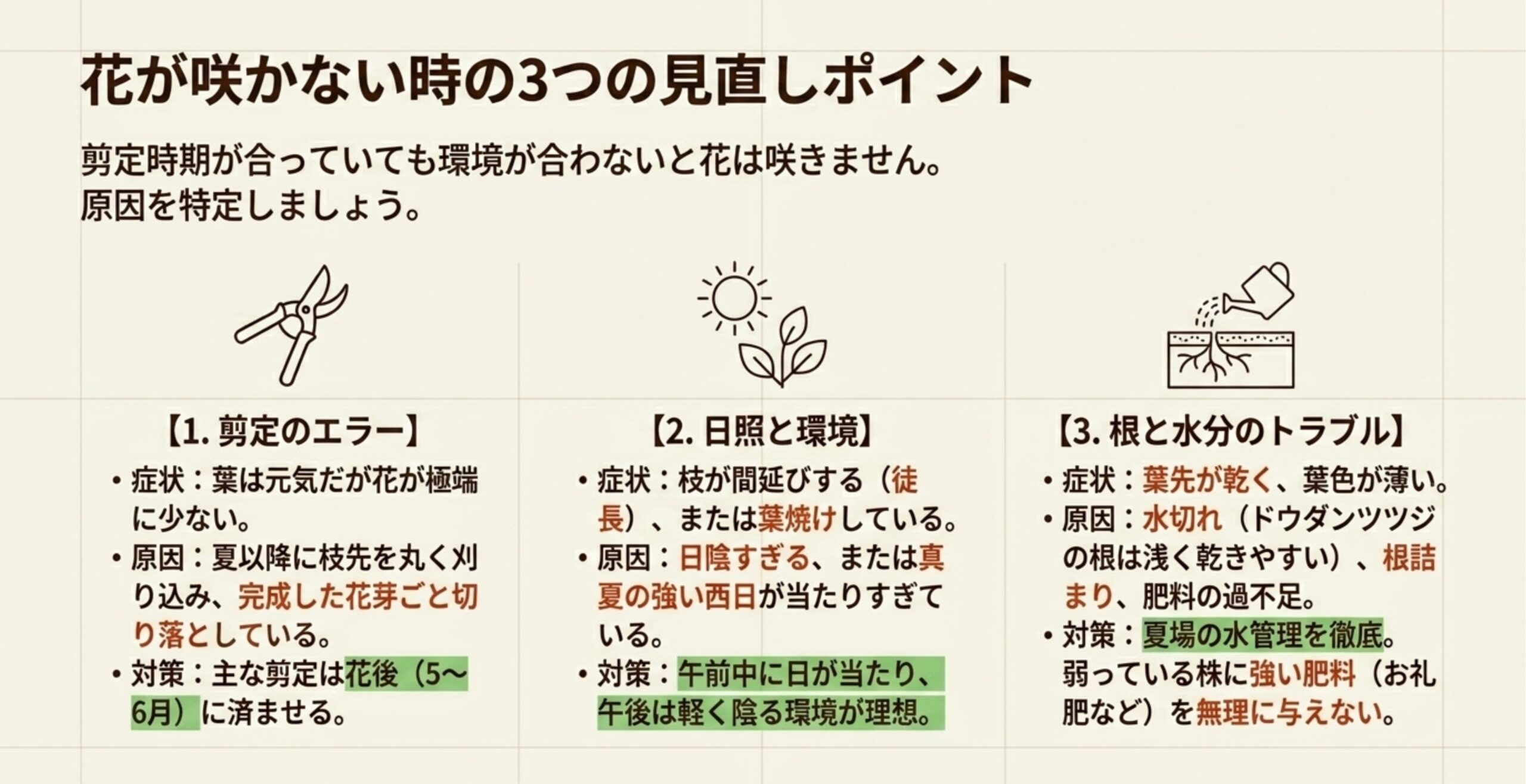 花が咲かない原因となる3つのポイント（剪定のエラー、日照と環境、根と水分のトラブル）とその対策を示す図解 。