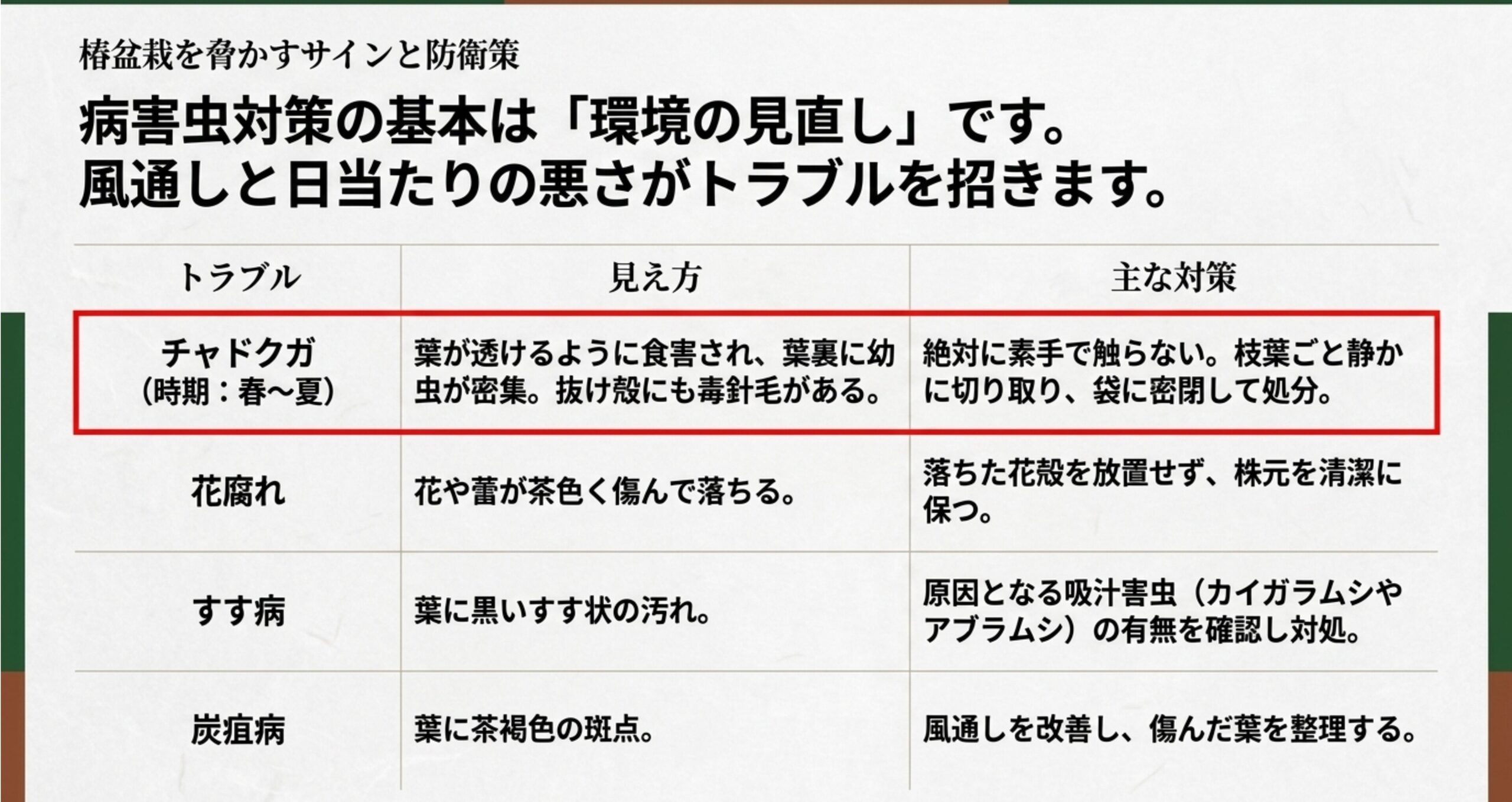 チャドクガ、花腐れ、すす病、炭疽病の症状と対策をまとめた表