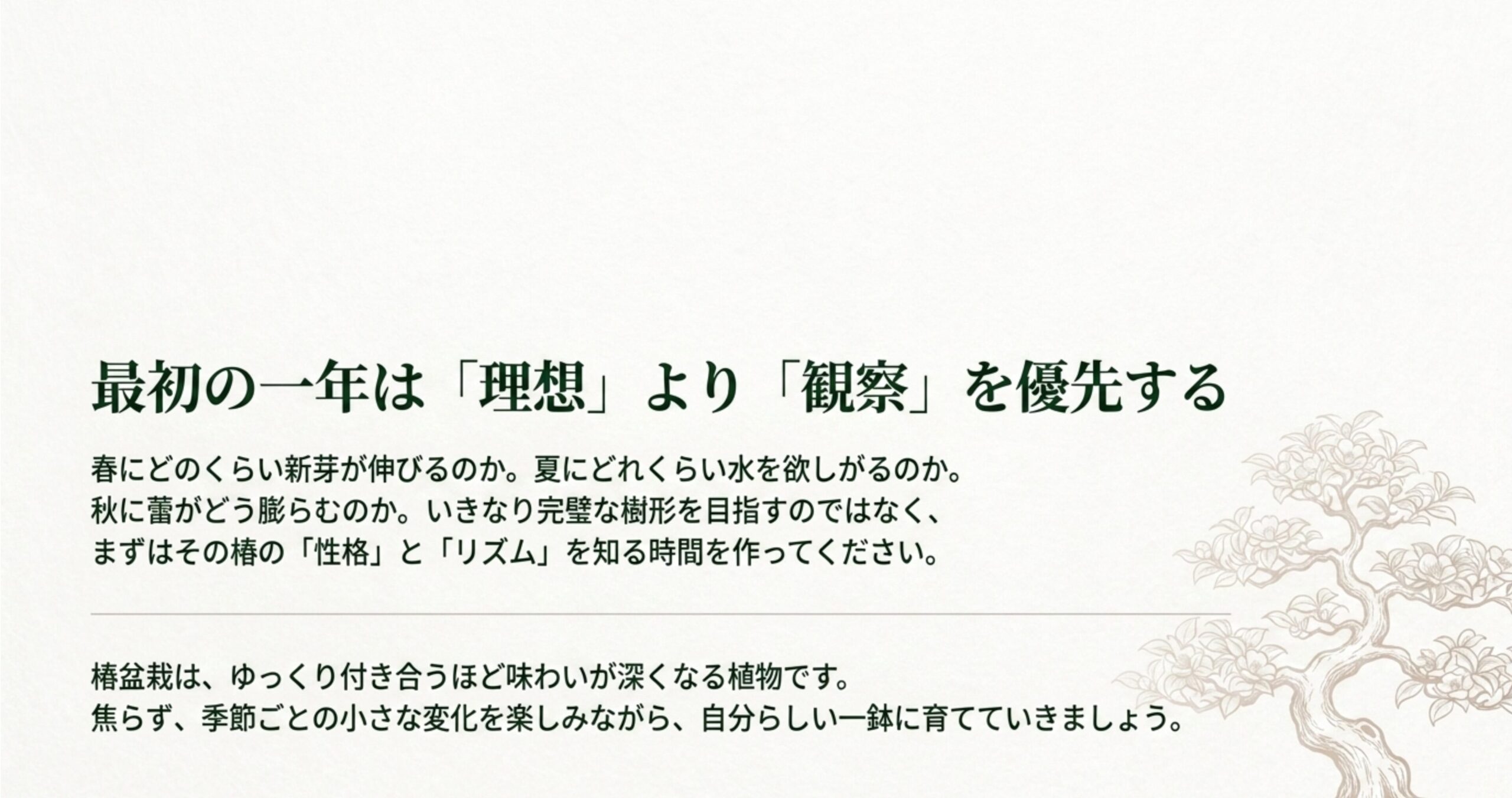 最初の一年は理想の樹形よりも季節ごとの椿の観察を優先するというメッセージと盆栽のイラスト