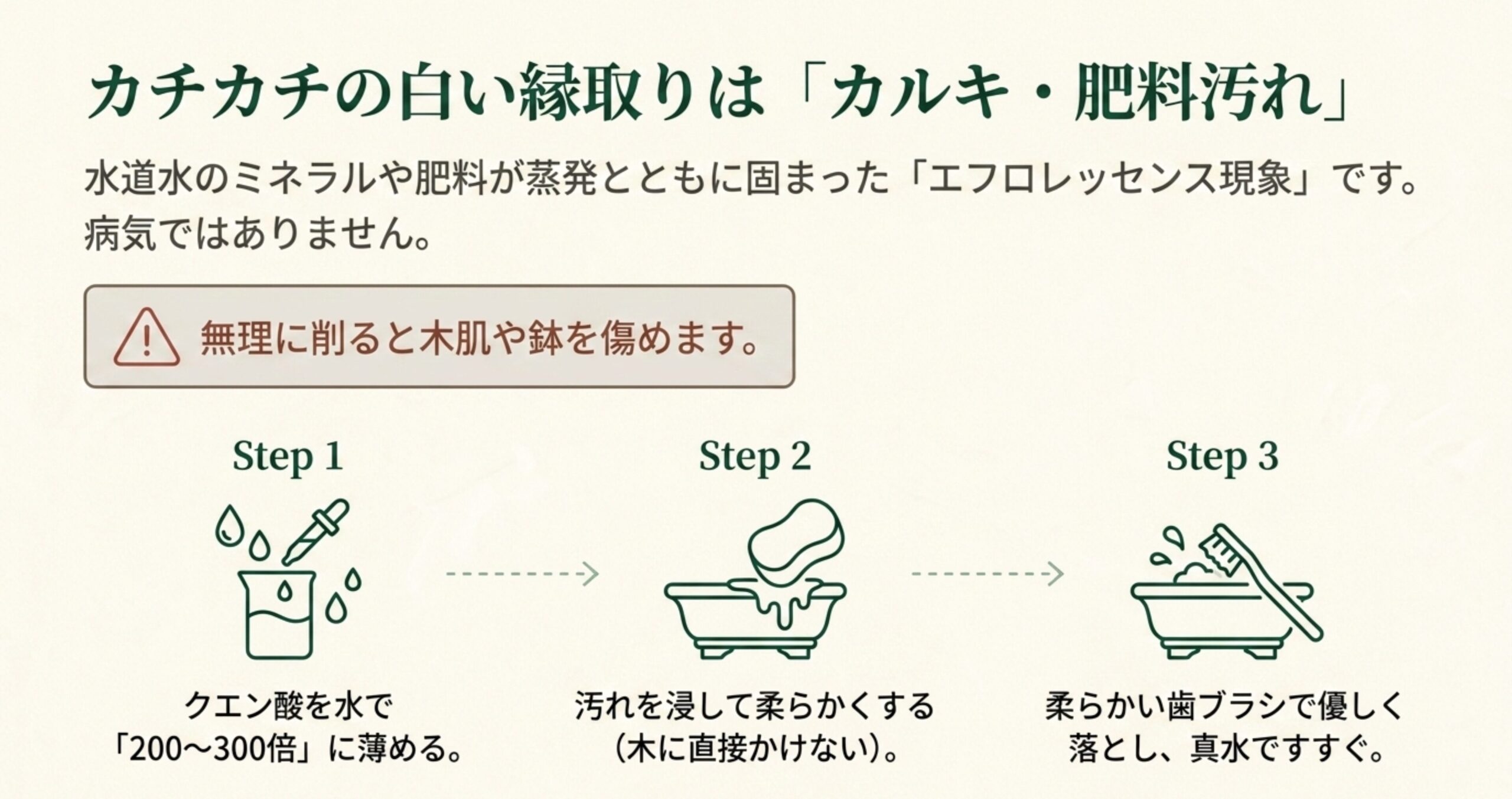 カルキや肥料による盆栽の硬い白い汚れを、クエン酸の希釈液と歯ブラシを使って優しく洗浄する3つのステップを図解したスライド。