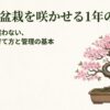 富士桜盆栽を咲かせる1年の物語。初心者向けの季節ごとの育て方と管理の基本を示す表紙スライド 。