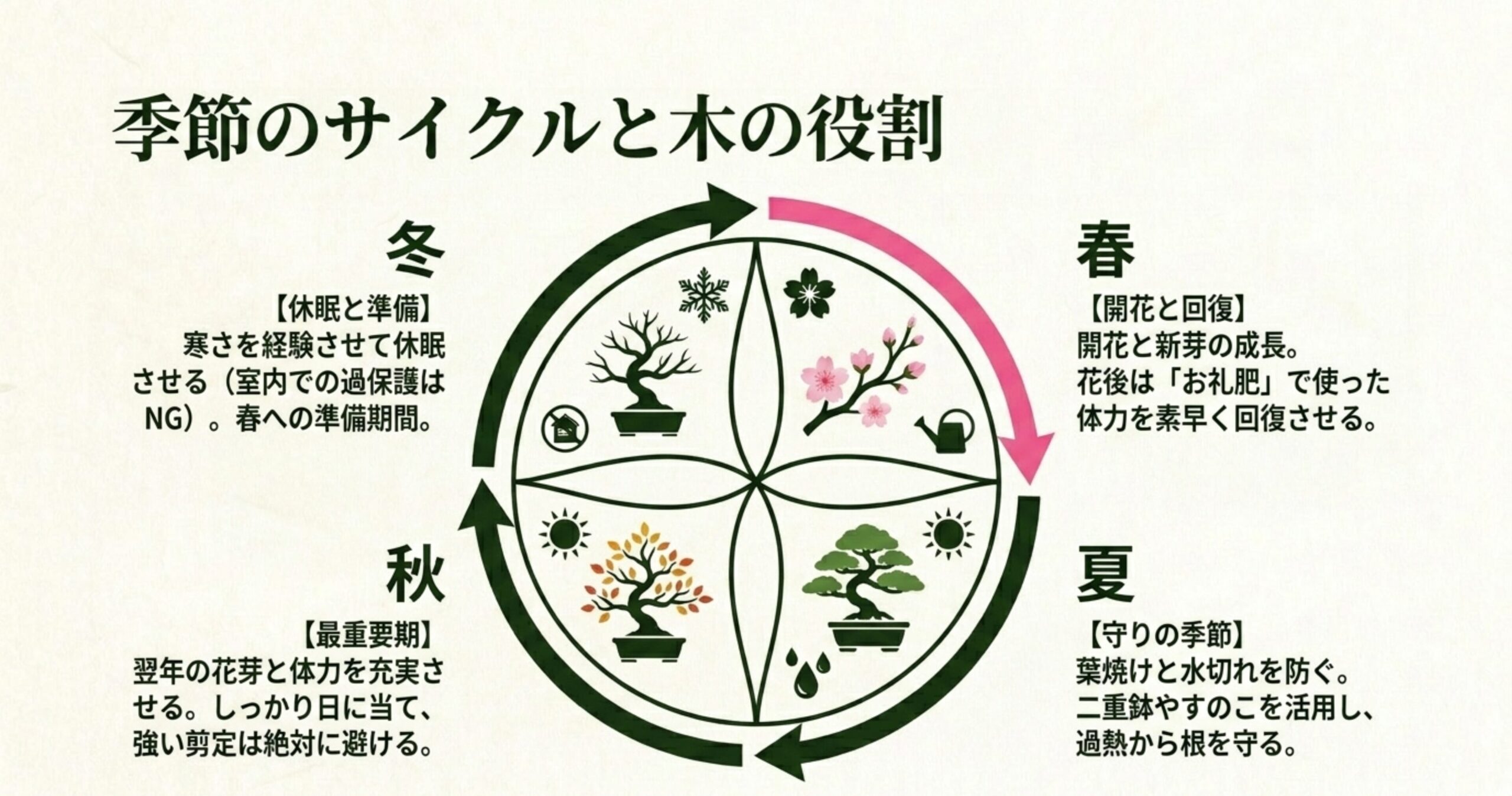 四季を通じた富士桜盆栽の役割（春の開花、夏の守り、秋の充実、冬の休眠）を示す図解 。