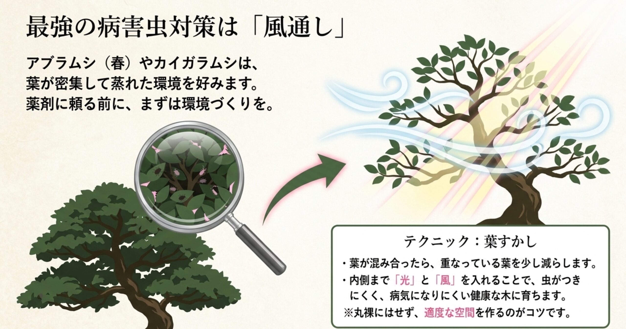 アブラムシやカイガラムシ対策として、薬剤に頼る前の環境づくり「葉すかし」による風通し改善を解説するスライド 。