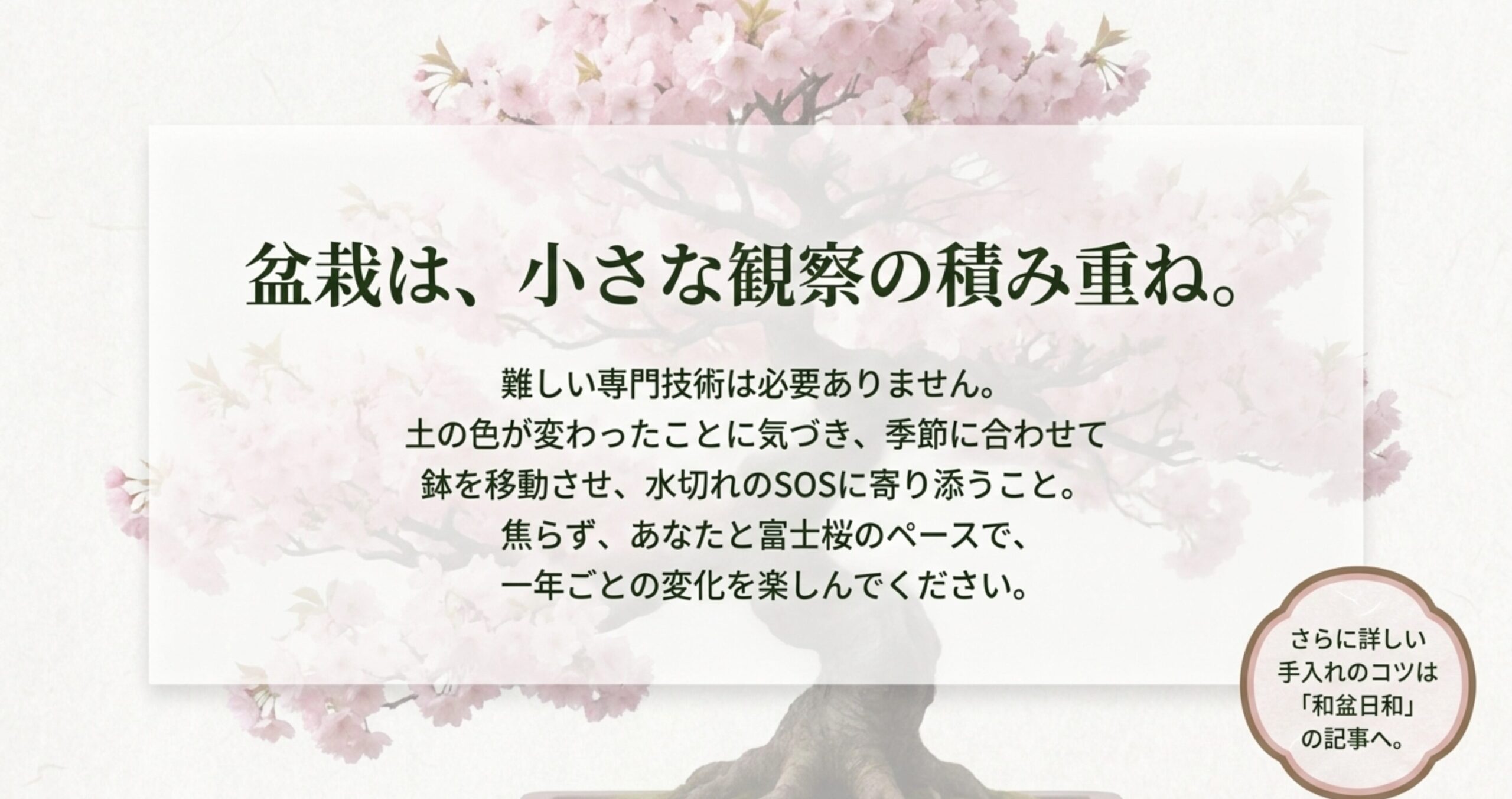 盆栽は小さな観察の積み重ねであり、焦らず一年ごとの変化を楽しむことを伝える締めくくりのメッセージ 。