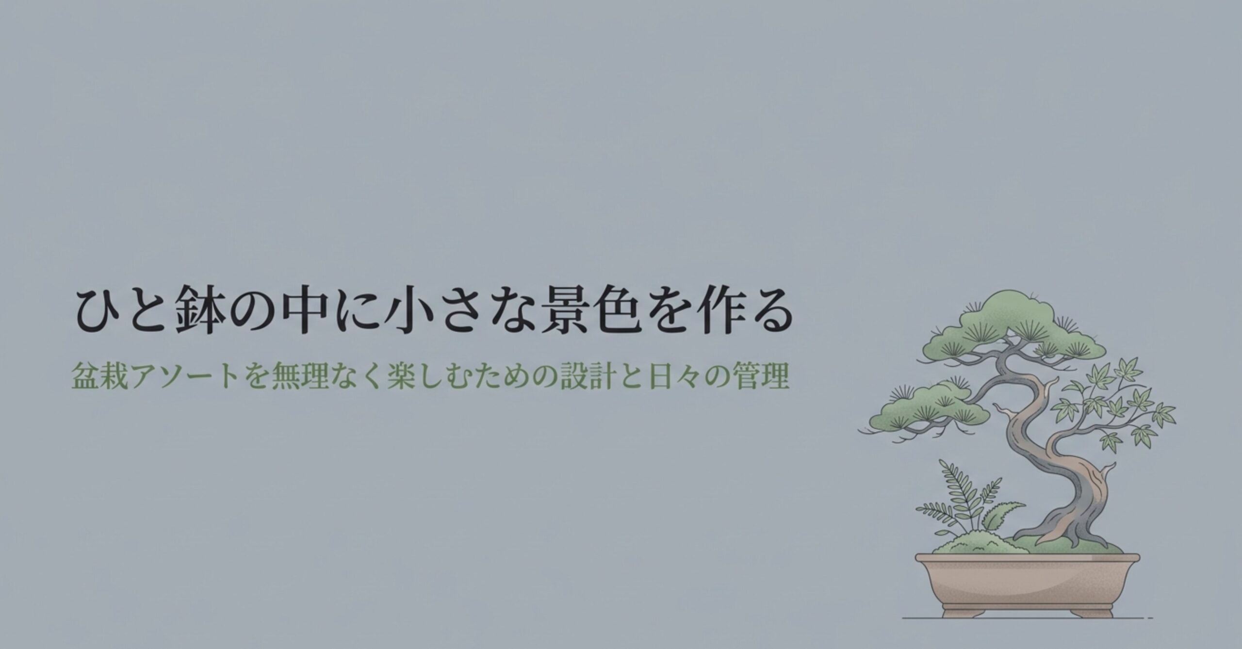 松と紅葉のイラスト。盆栽アソートを無理なく楽しむための設計と日々の管理 。