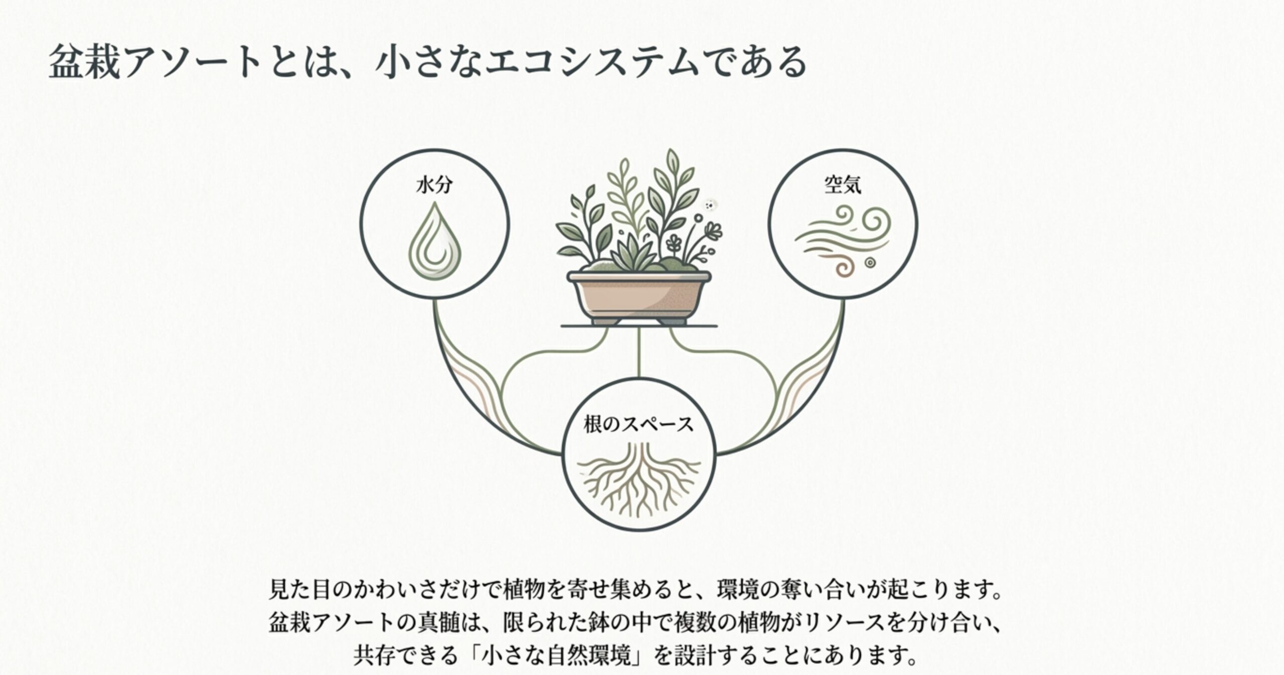 鉢の中で植物が水分 、空気 、根のスペース を分け合うエコシステムを表した図解。リソースを分け合い共存できる小さな自然環境の設計  を示している。