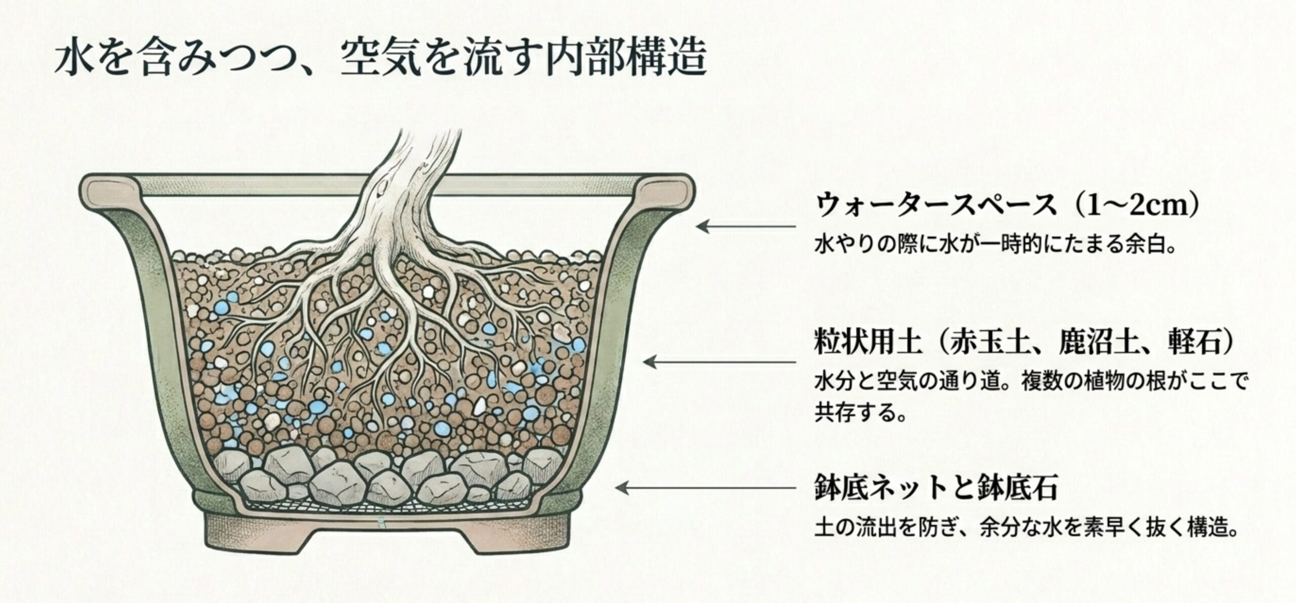 盆栽鉢の断面図。水が一時的にたまるウォータースペース 、水分と空気の通り道となる粒状用土 、土の流出を防ぎ水を抜く鉢底ネットと鉢底石  の構造図。