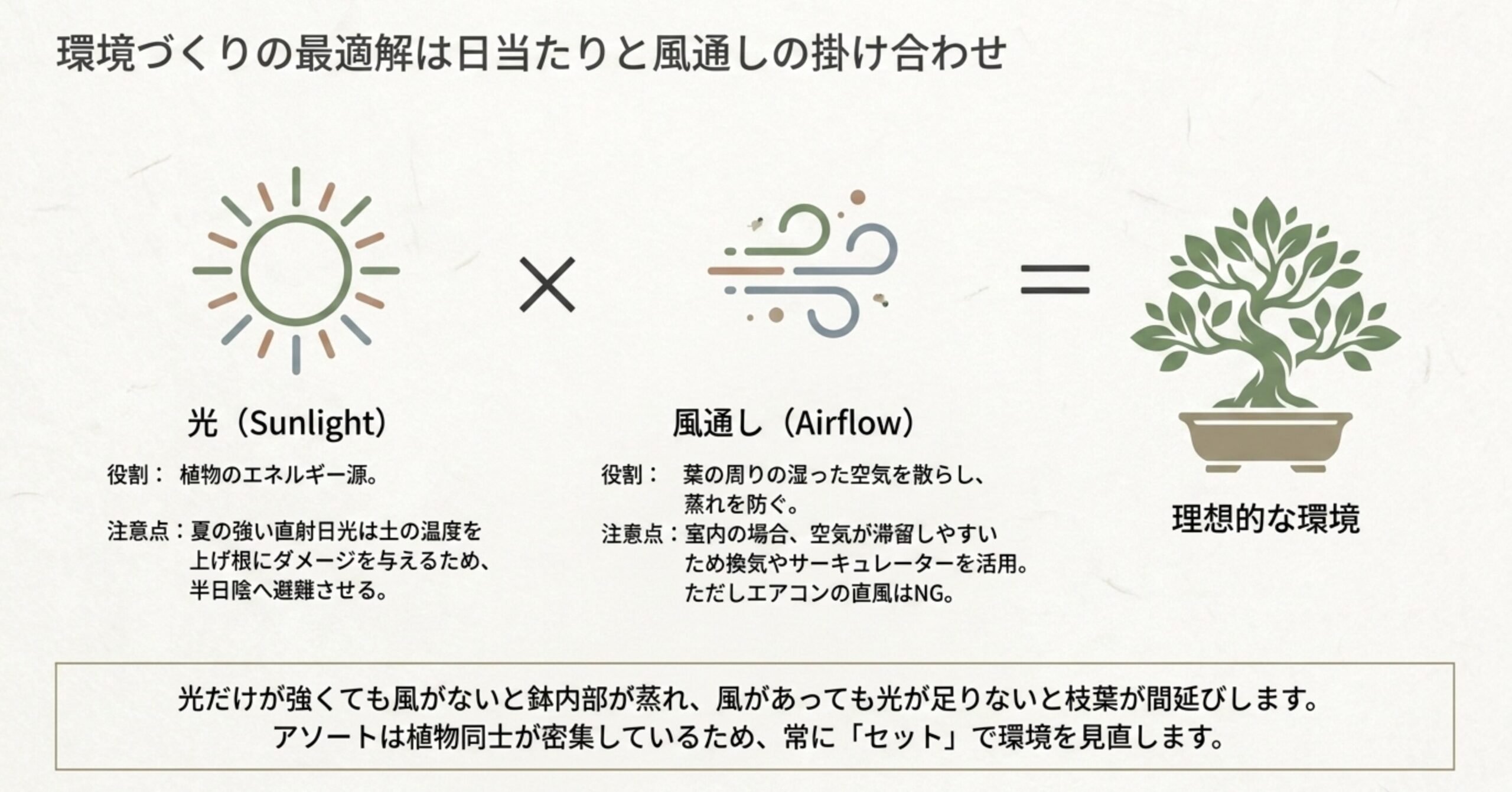 太陽の光と風通しを掛け合わせると理想的な環境になることを示す図解 。アソートは植物同士が密集するため常にセットで環境を見直す必要がある 。