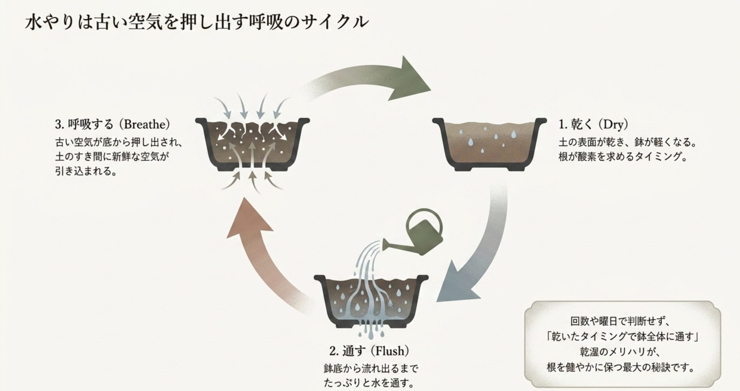 水やりのサイクル図解。土が乾く 、鉢底から水を通す 、古い空気が押し出され新鮮な空気を引き込む  という3ステップ。