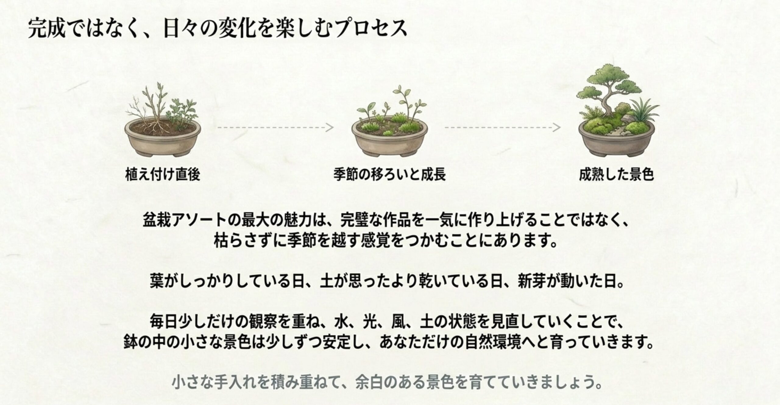 植え付け直後 、季節の移ろいと成長 、成熟した景色 と3段階で変化する盆栽のイラスト。枯らさずに季節を越す感覚をつかみ 、日々の観察を重ねていく過程  を表現。