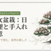 早乙女盆栽の育て方と日常管理、手入れの基本をまとめたビジュアルガイドの表紙画像