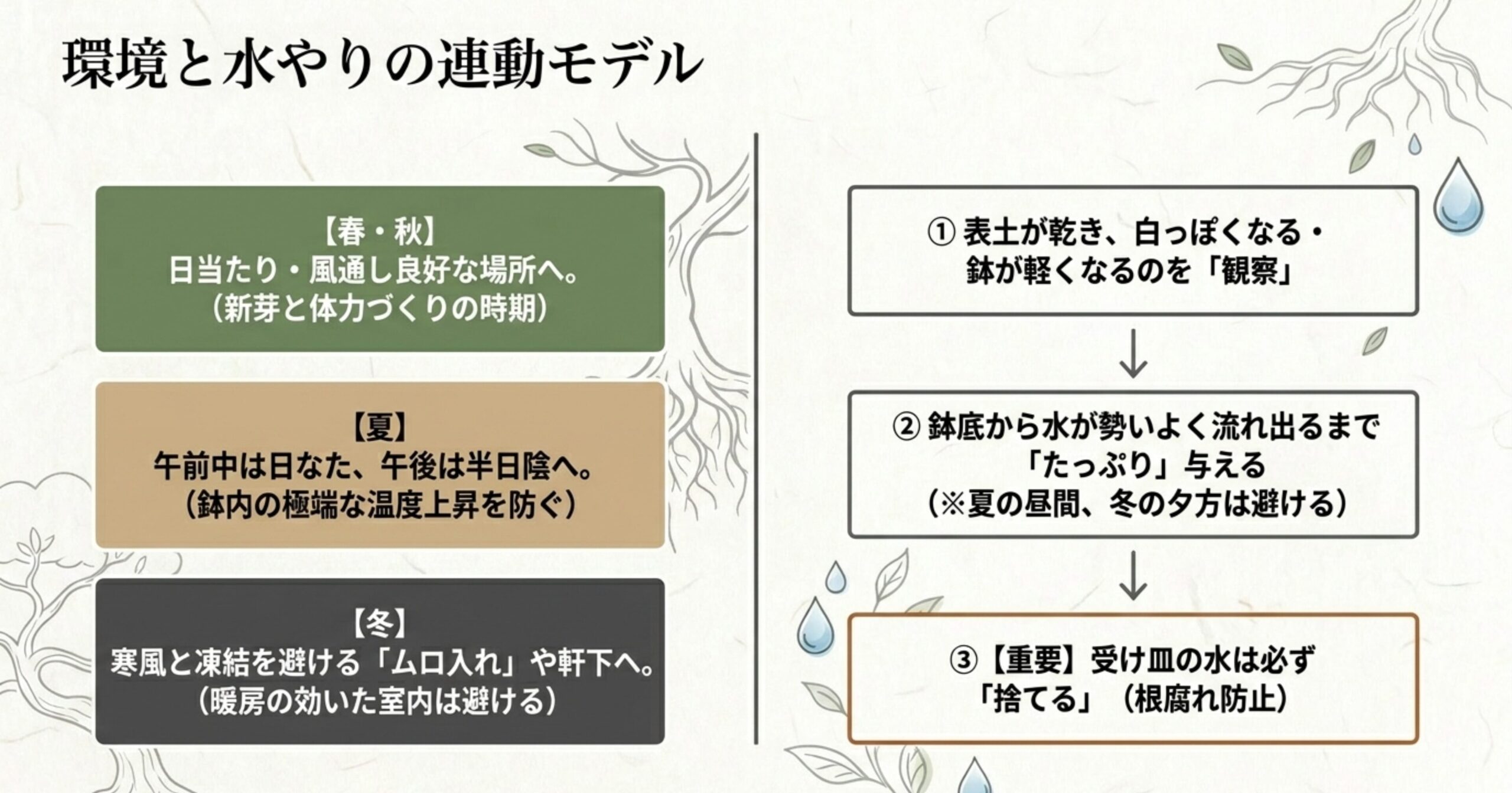 春秋、夏、冬の置き場所と、土の乾燥確認から鉢底から水が出るまでたっぷり与え、受け皿の水を捨てるまでの水やり手順