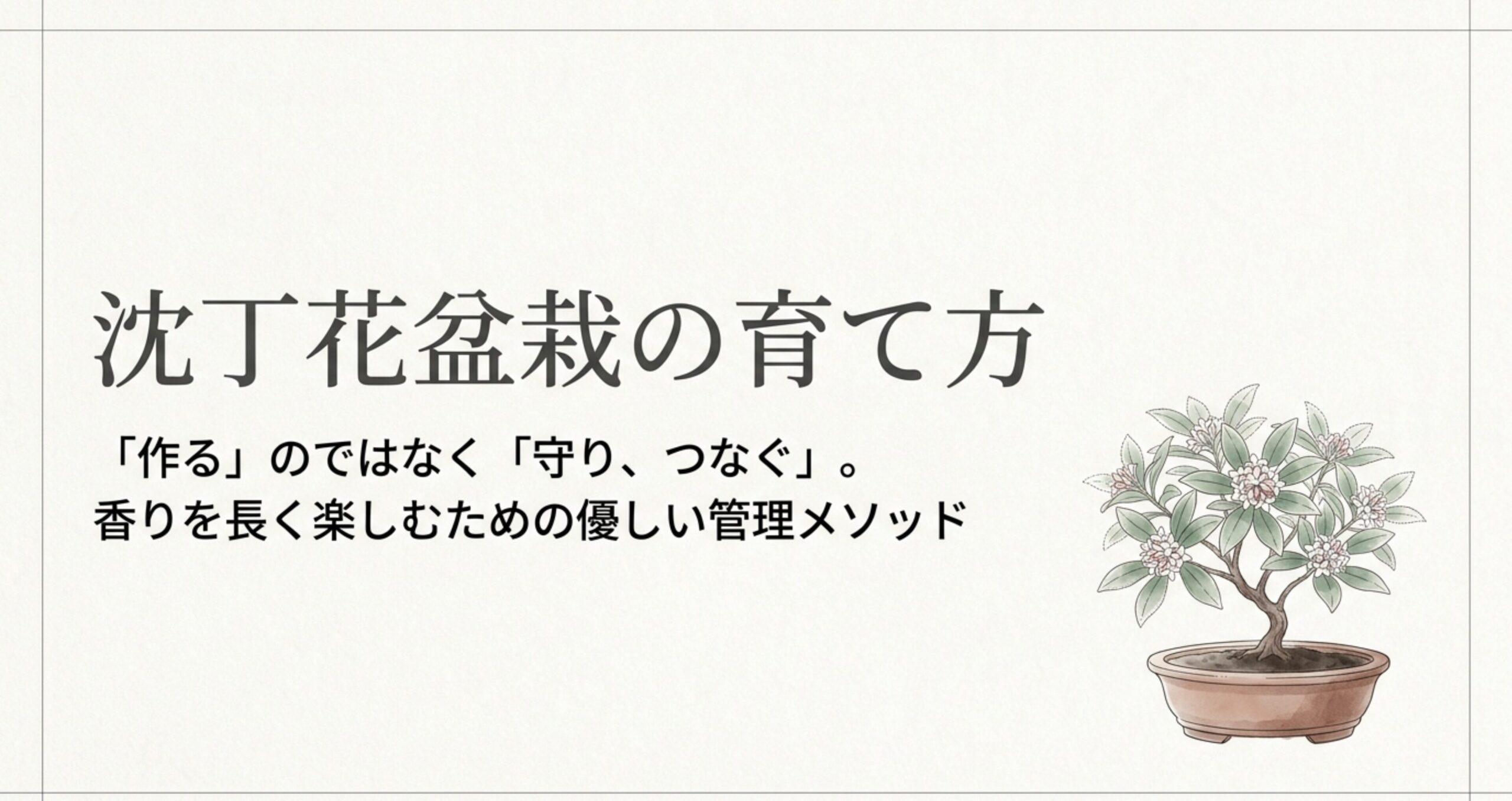 鉢植えで綺麗に花を咲かせた沈丁花の盆栽のイラスト