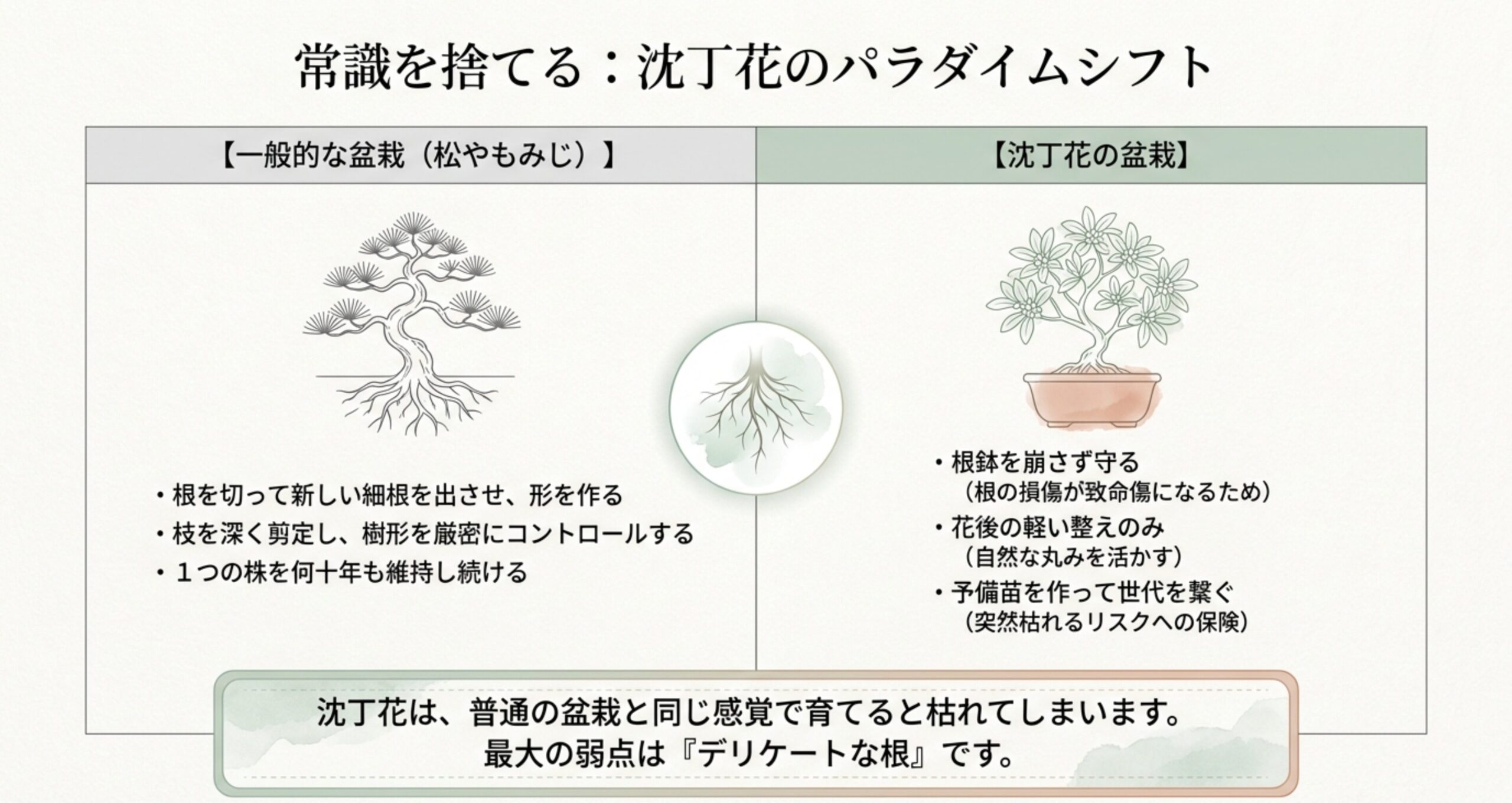 一般的な盆栽と沈丁花盆栽の育て方（剪定・植え替え・長期管理）の違いを比較した図解