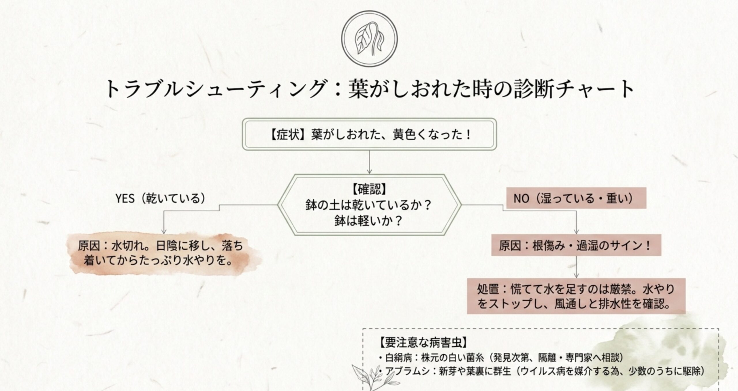 葉がしおれた時に、鉢の土が乾いているか湿っているかで水切れか過湿（根傷み）かを診断するフローチャート