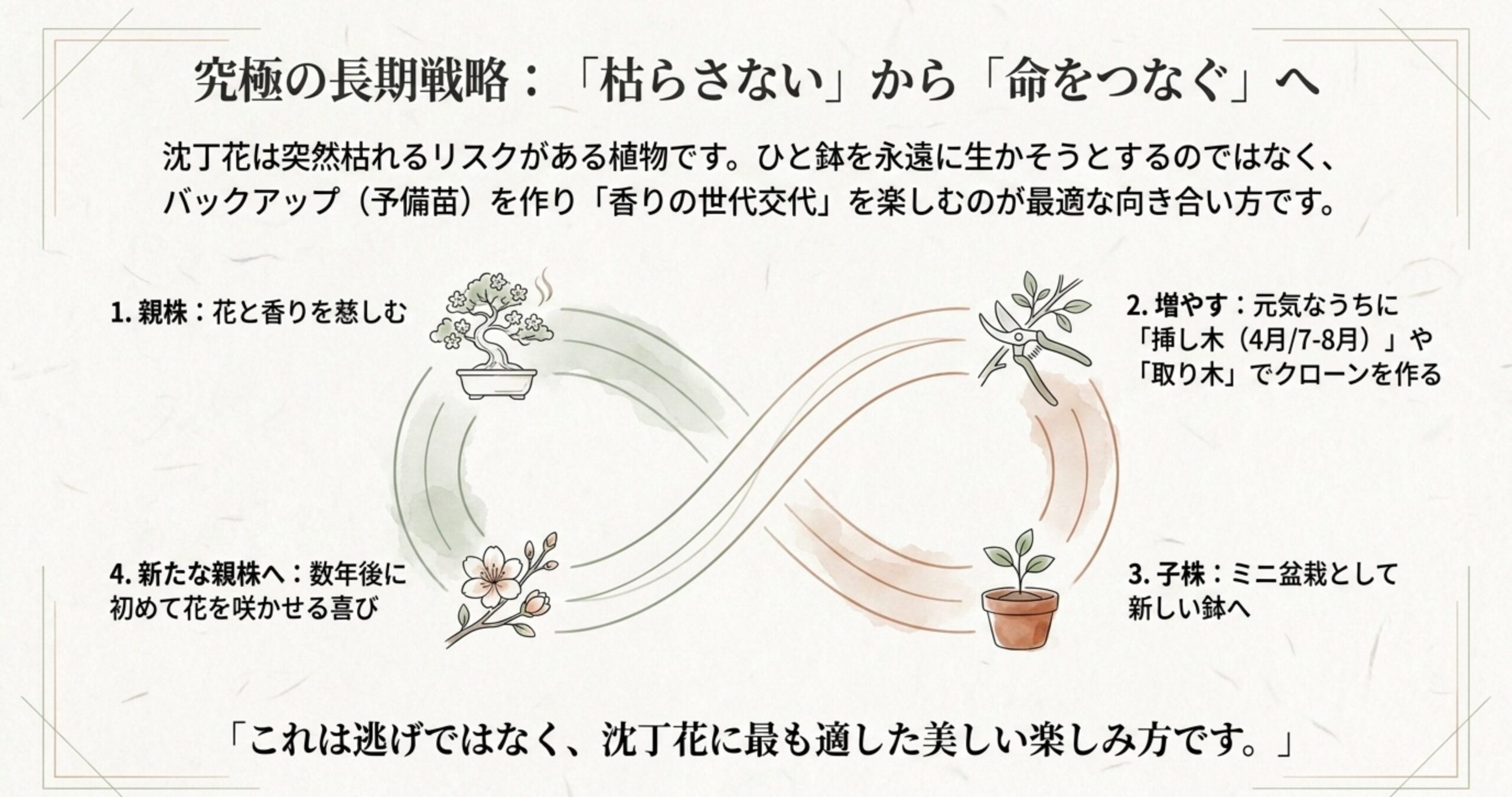 親株から挿し木や取り木で子株を増やし、香りの世代交代を繰り返す命のサイクルのイラスト
