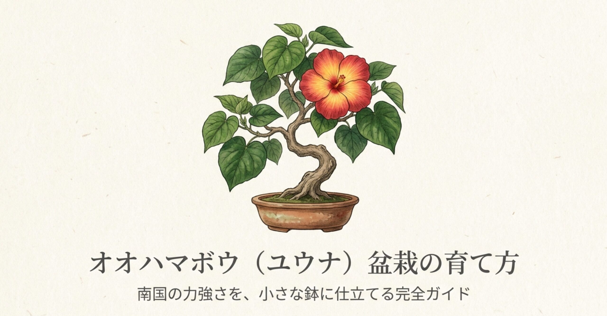 赤と黄色の美しいグラデーションの花を咲かせたオオハマボウ盆栽のイラスト