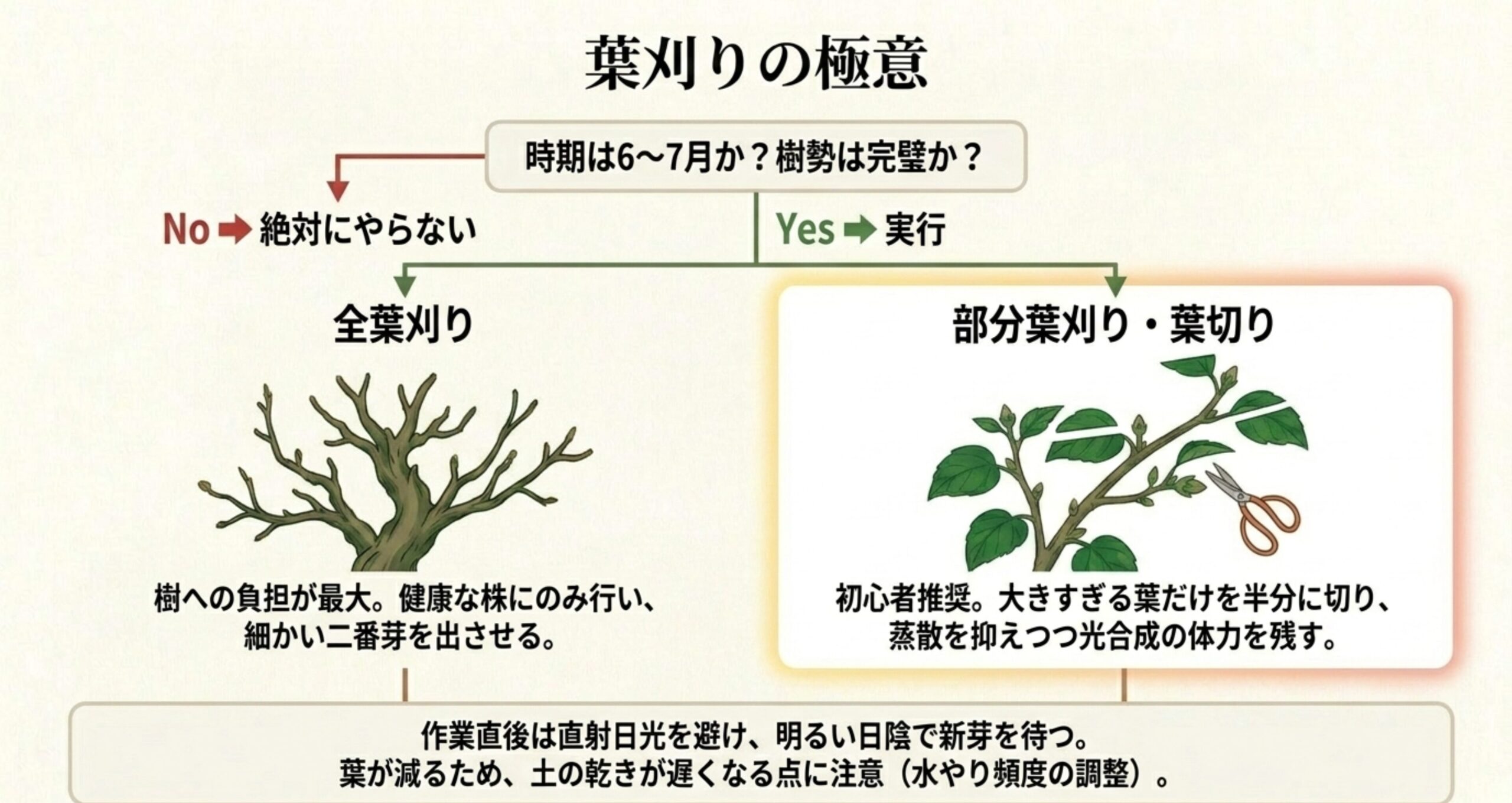 樹勢が完璧な状態で行う全葉刈りと、大きすぎる葉だけを半分に切る部分葉切りの比較図