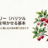 ハート型の赤い実がたくさんついたハリツルマサキのイラストと「基礎から学ぶ、長く楽しむための育て方ガイド」のタイトルテキスト
