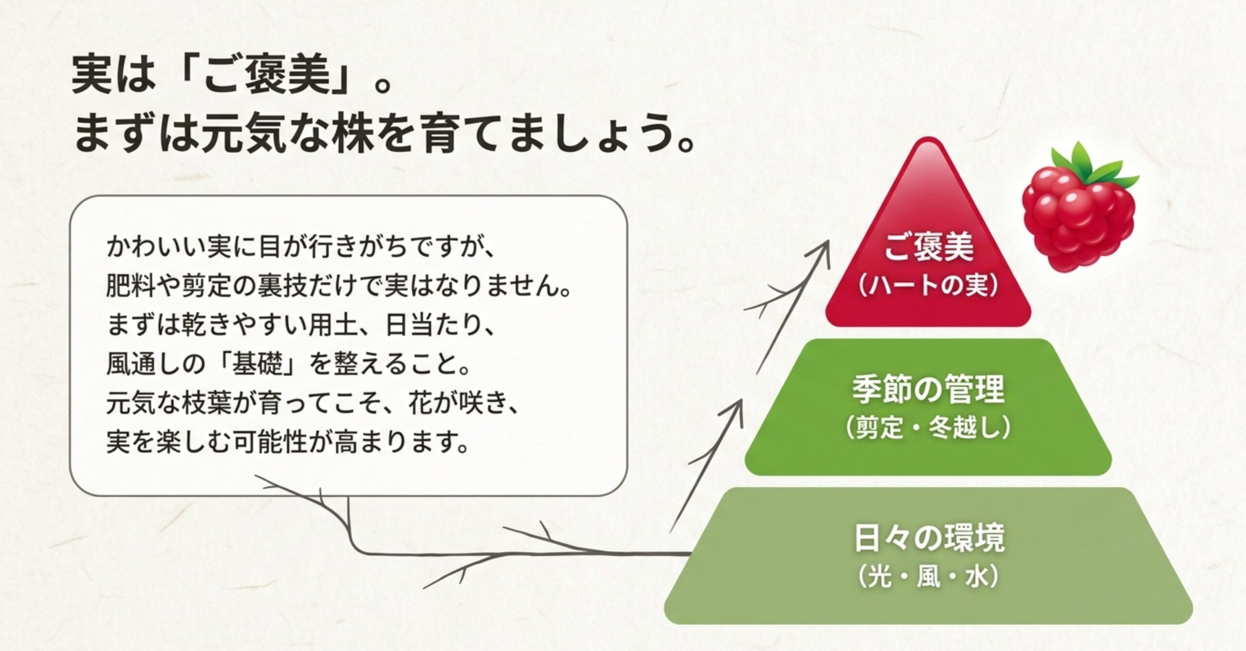 ハリツルマサキの実をご褒美として捉え、日々の環境(光・風・水)と季節の管理(剪定・冬越し)の重要性を説明する図解