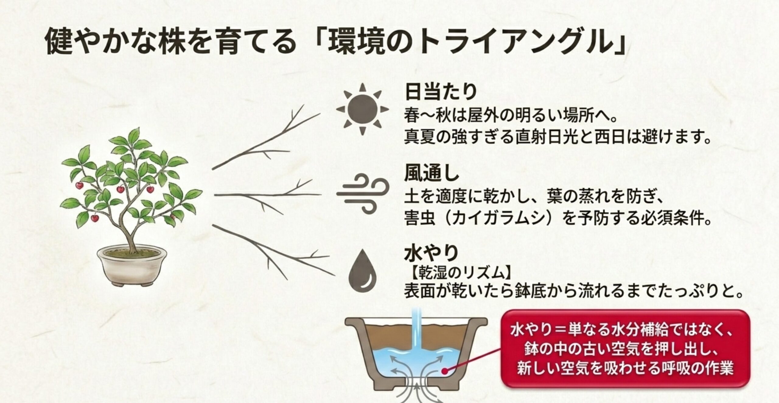 太陽、風、水のアイコンを用いた、ハリツルマサキ盆栽を健やかに育てるための環境要件(トライアングル)の図解