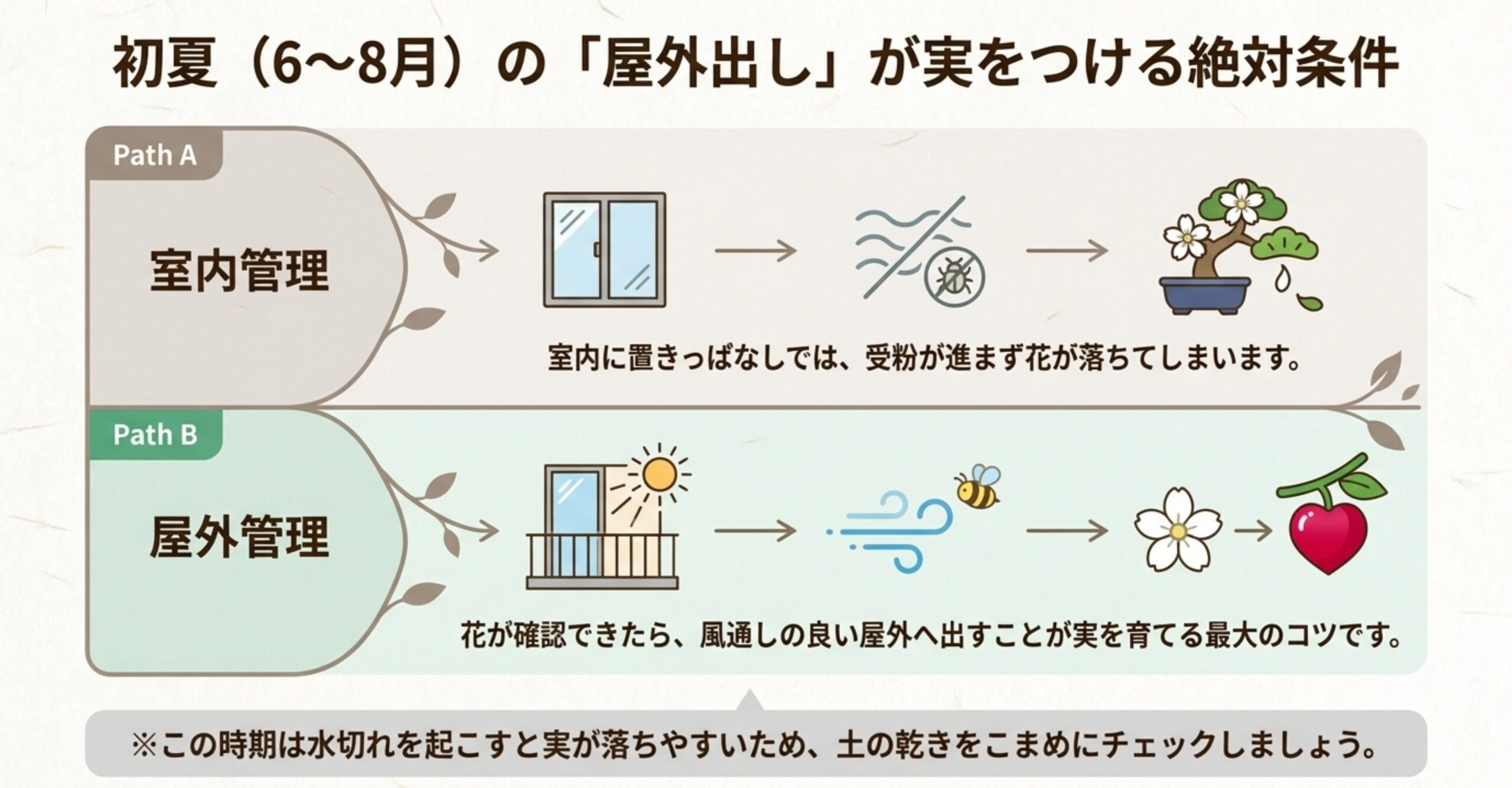 室内管理と屋外管理の違いによる受粉の有無を示した図解。屋外に出すことで蜂や風により自然受粉し、ハートの実がつくプロセスを解説