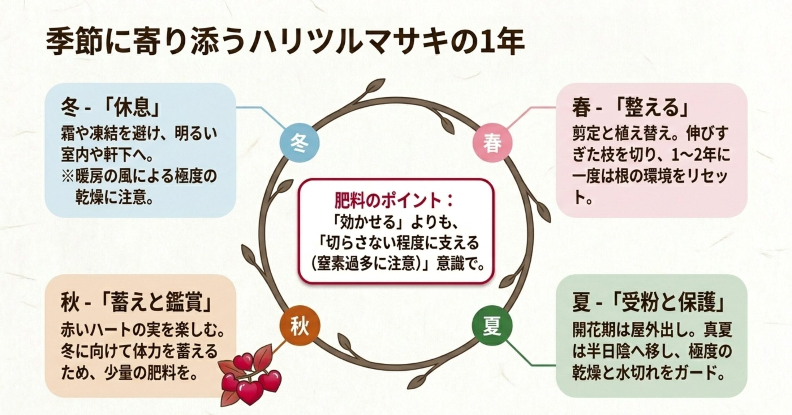 春の剪定・植え替え、夏の屋外出しと保護、秋の蓄えと観賞、冬の休息といった、ハリツルマサキの季節ごとの年間サイクル図
