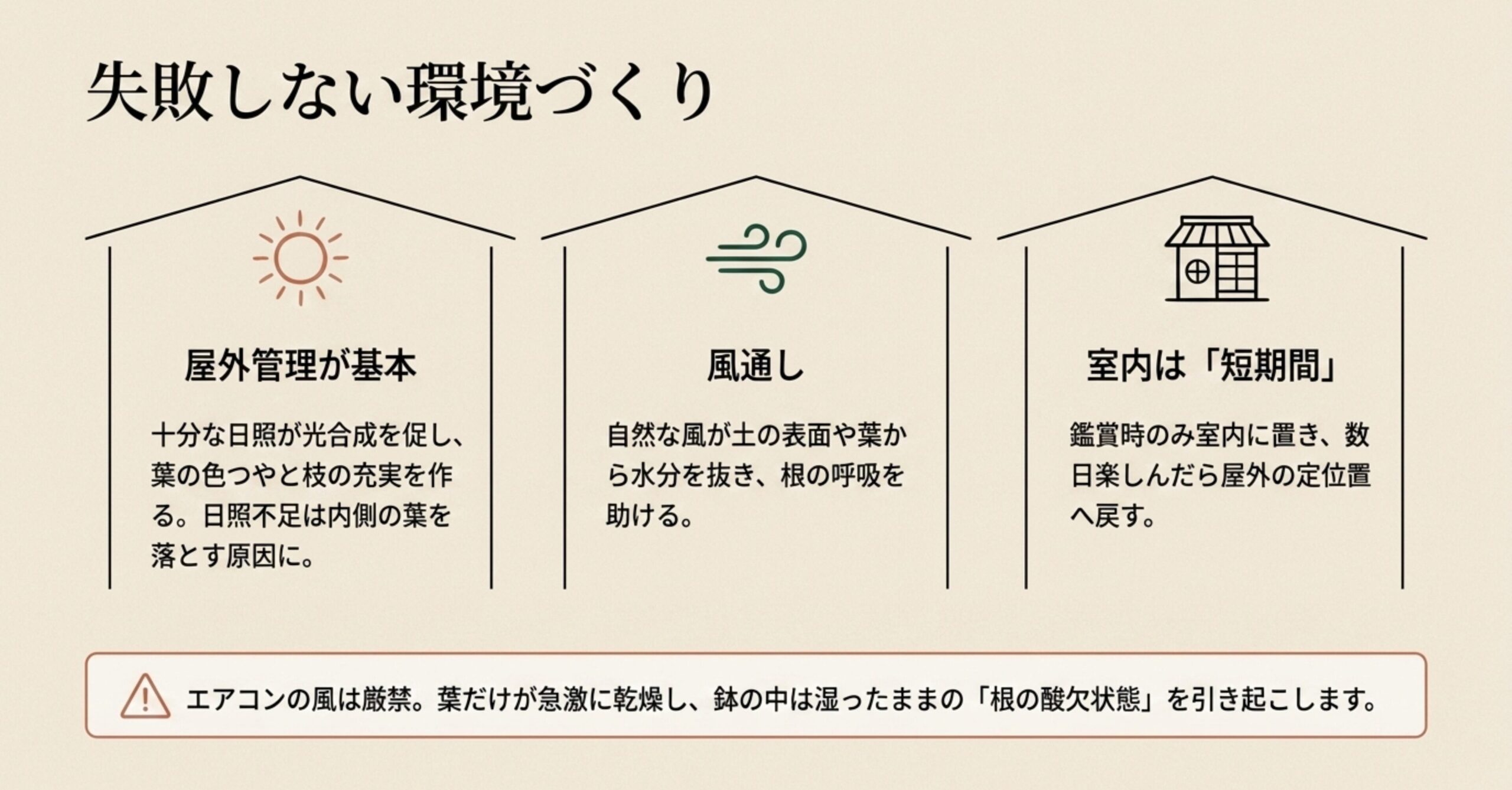 大王松盆栽は屋外管理が基本であり、室内鑑賞は短期間にとどめ、風通しと日照を確保して失敗しない環境を作るポイントの解説