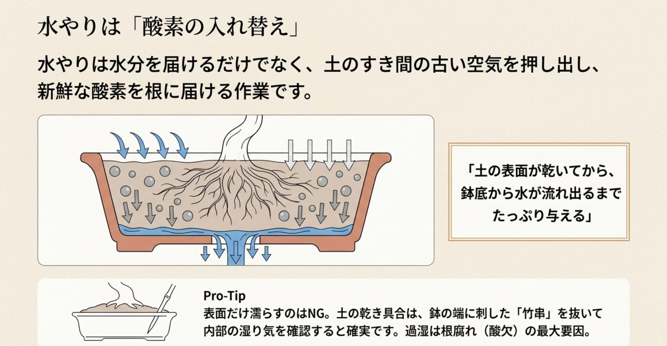 鉢の表面から水を与えることで、土のすき間の古い空気を押し出し、新鮮な酸素を根に届ける水やりの仕組みを図解した図