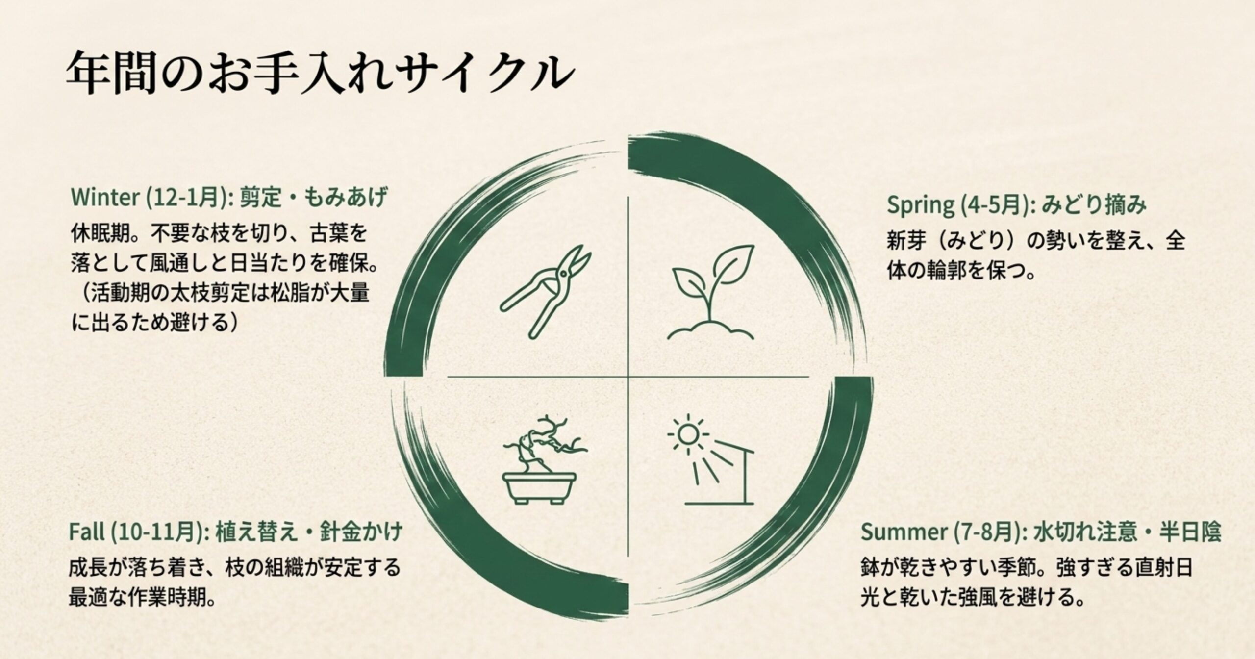 春のみどり摘み、夏の日よけ対策、秋の植え替えや針金かけ、冬の剪定やもみあげといった、大王松盆栽における年間のお手入れサイクルまとめ