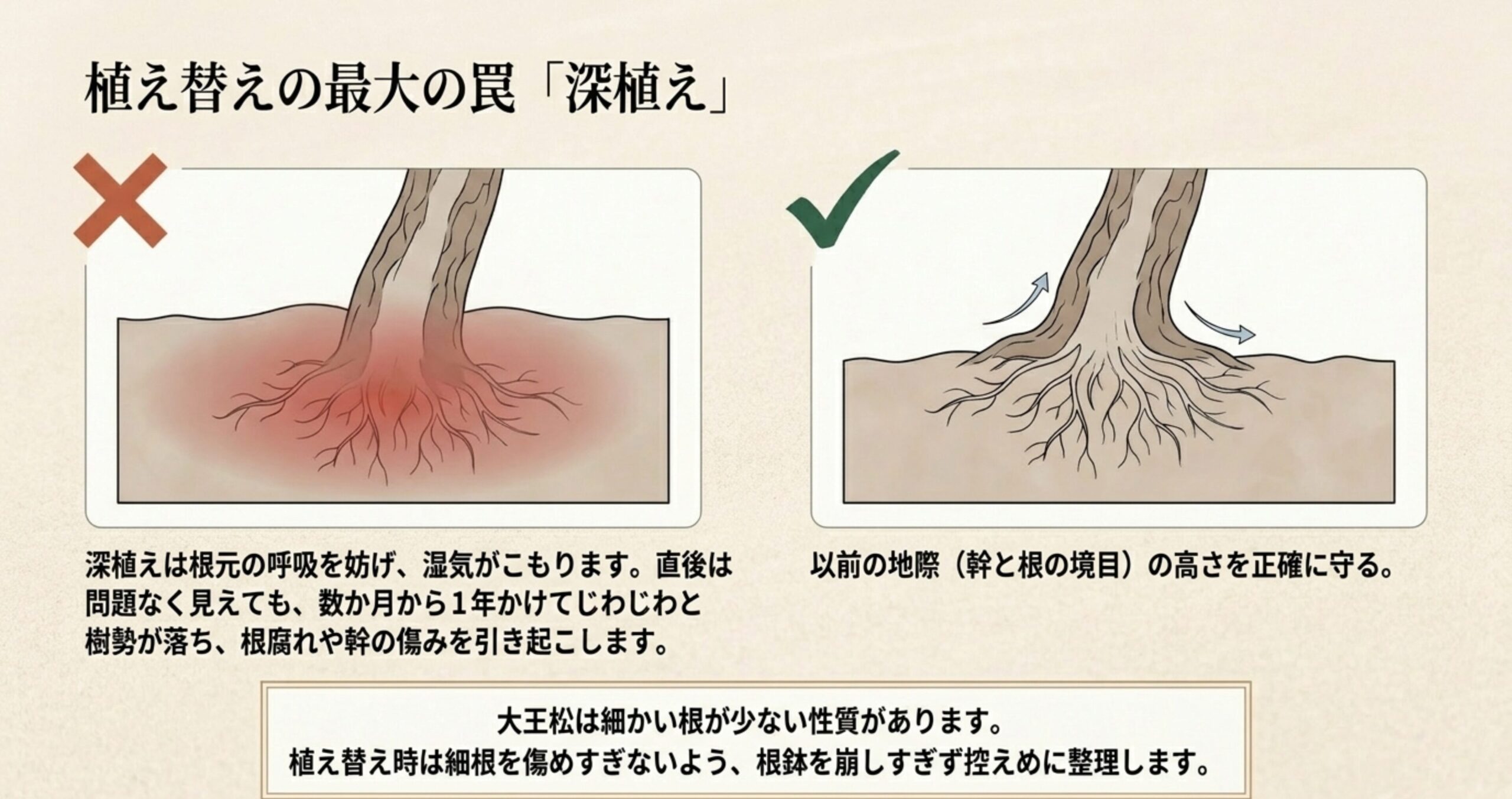 根元の呼吸を妨げ根腐れの原因となる深植えのバツ例と、幹と根の境目の高さを守って植え付けたマル例の比較図