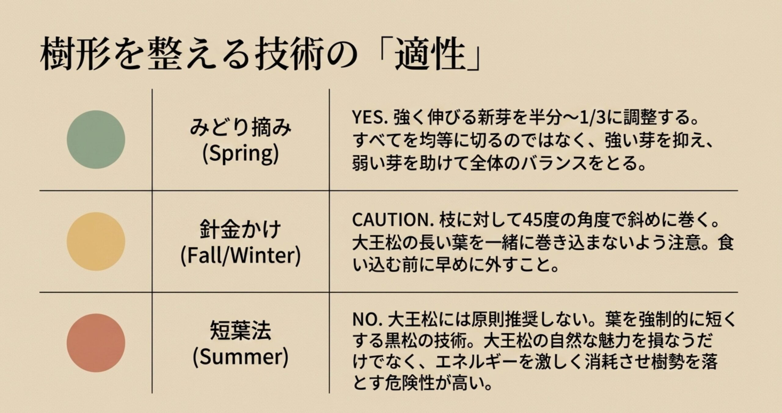 大王松の樹形を整える技術の適性として、みどり摘みはYES、針金かけは注意、短葉法は原則NOであることをまとめた表