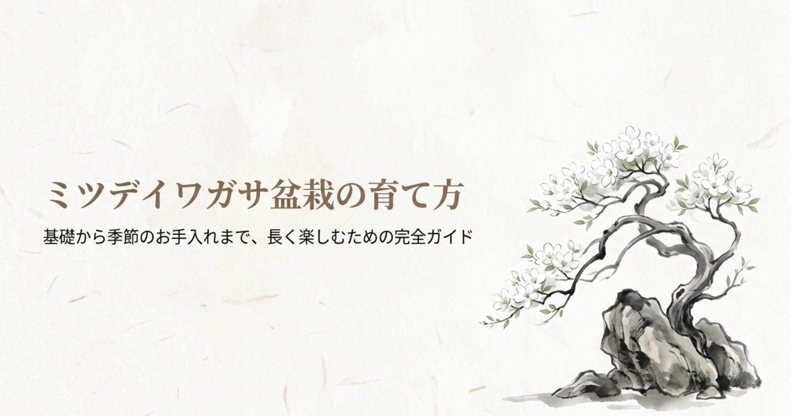 白い花を咲かせたミツデイワガサの盆栽イラストと完全ガイドのタイトル