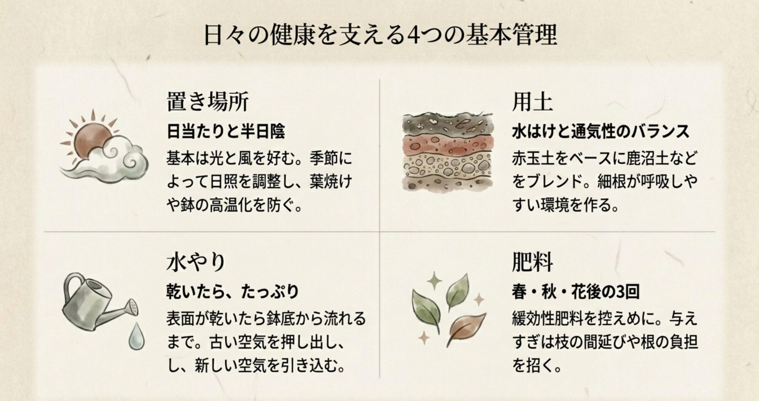 置き場所、水やり、用土、肥料というミツデイワガサ盆栽の4つの基本管理の概要まとめ
