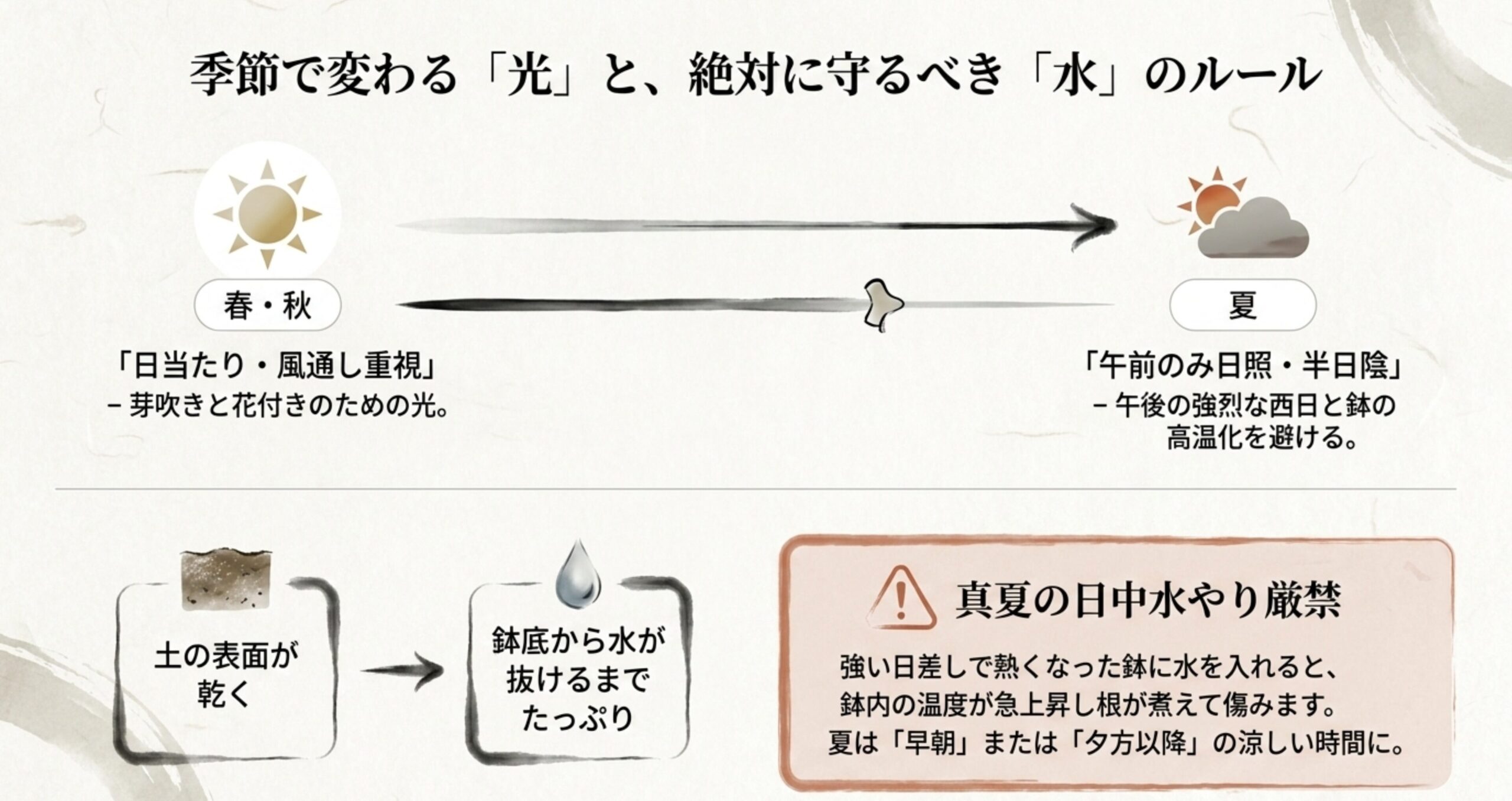 春秋と夏の置き場所の違いと、絶対に守るべき水やりのルール（夏の日中水やり厳禁の警告）