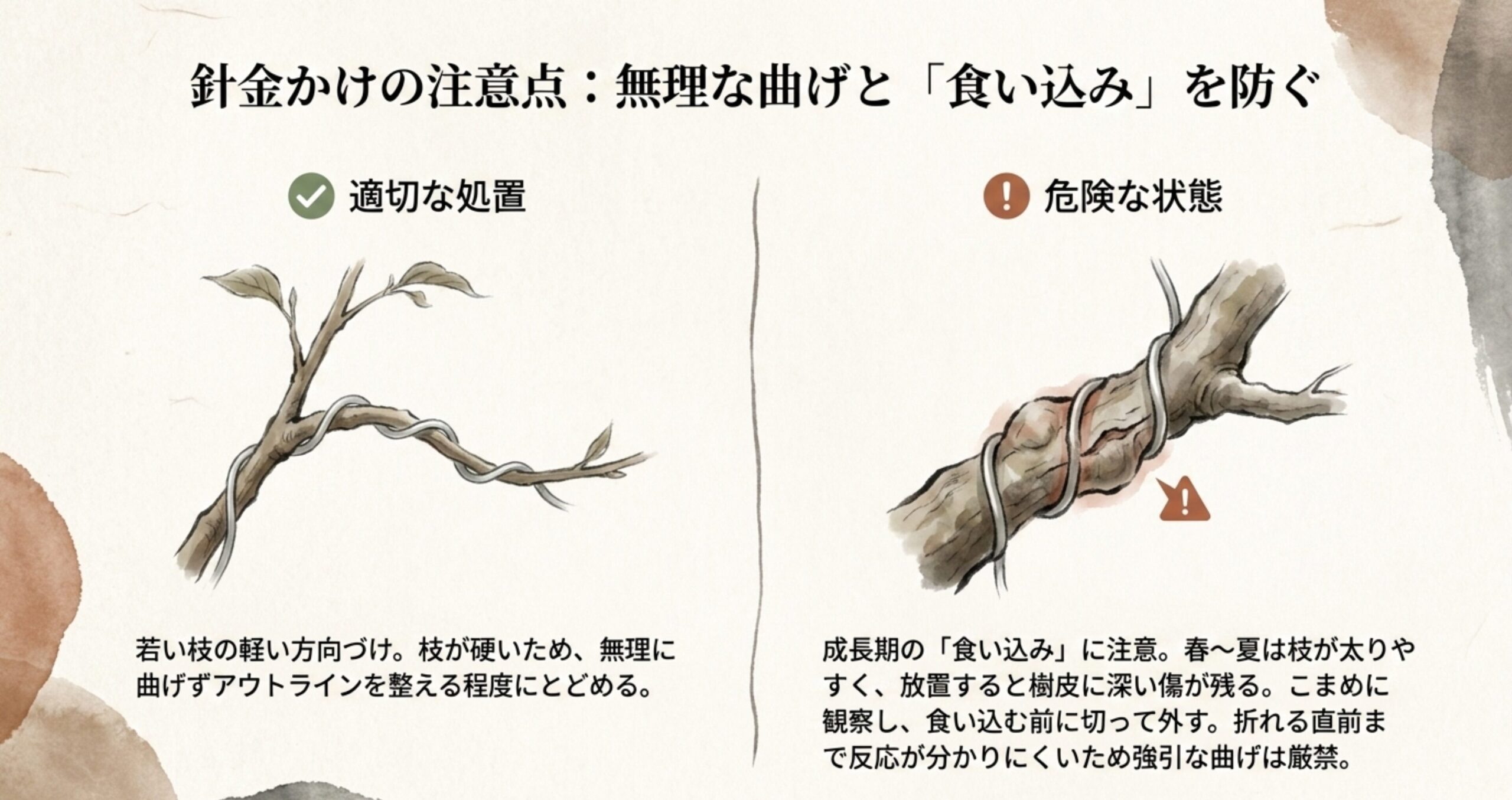 枝に針金が食い込んでしまった危険な状態のイラストと、適切な針金かけによる軽い方向づけの解説