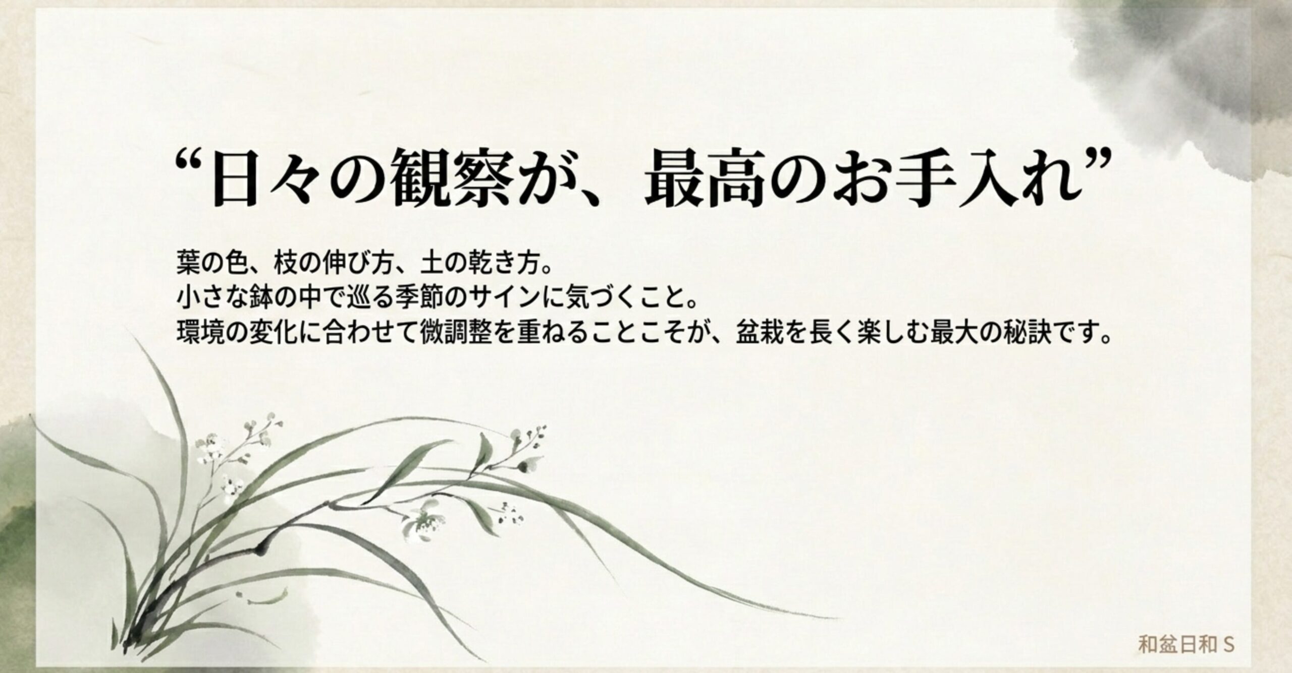 日々の観察と環境に合わせた微調整が盆栽を長く楽しむ秘訣であるというメッセージ