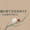 白紫檀盆栽の育て方完全ガイド。四季の移ろいを、小さな鉢の中で楽しむ。和盆日和S。