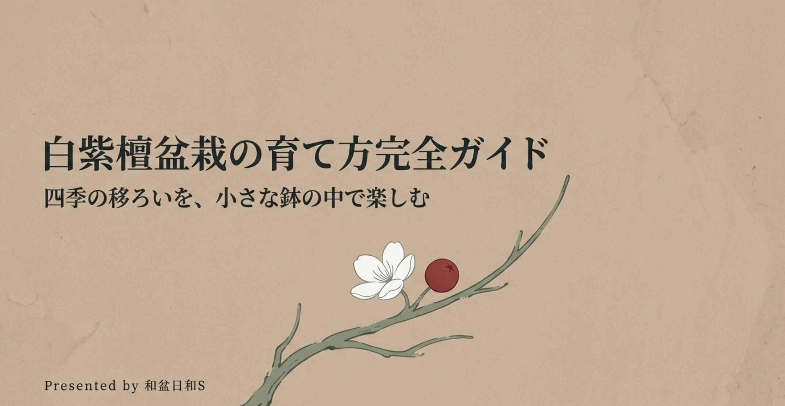 白紫檀盆栽の育て方完全ガイド。四季の移ろいを、小さな鉢の中で楽しむ。和盆日和S。