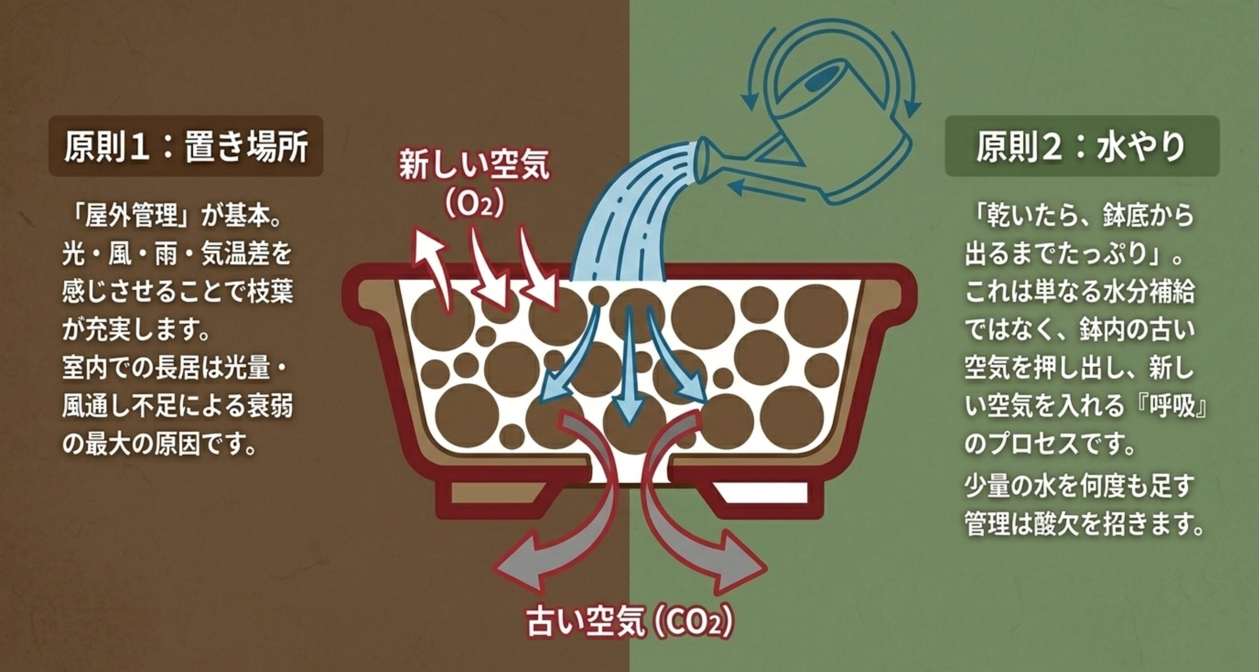 たっぷりと水やりをすることで、鉢内の古い空気が押し出され、新しい空気が入る「呼吸」のプロセスを示す図解。少量の水を足すだけの管理は酸欠を招く。