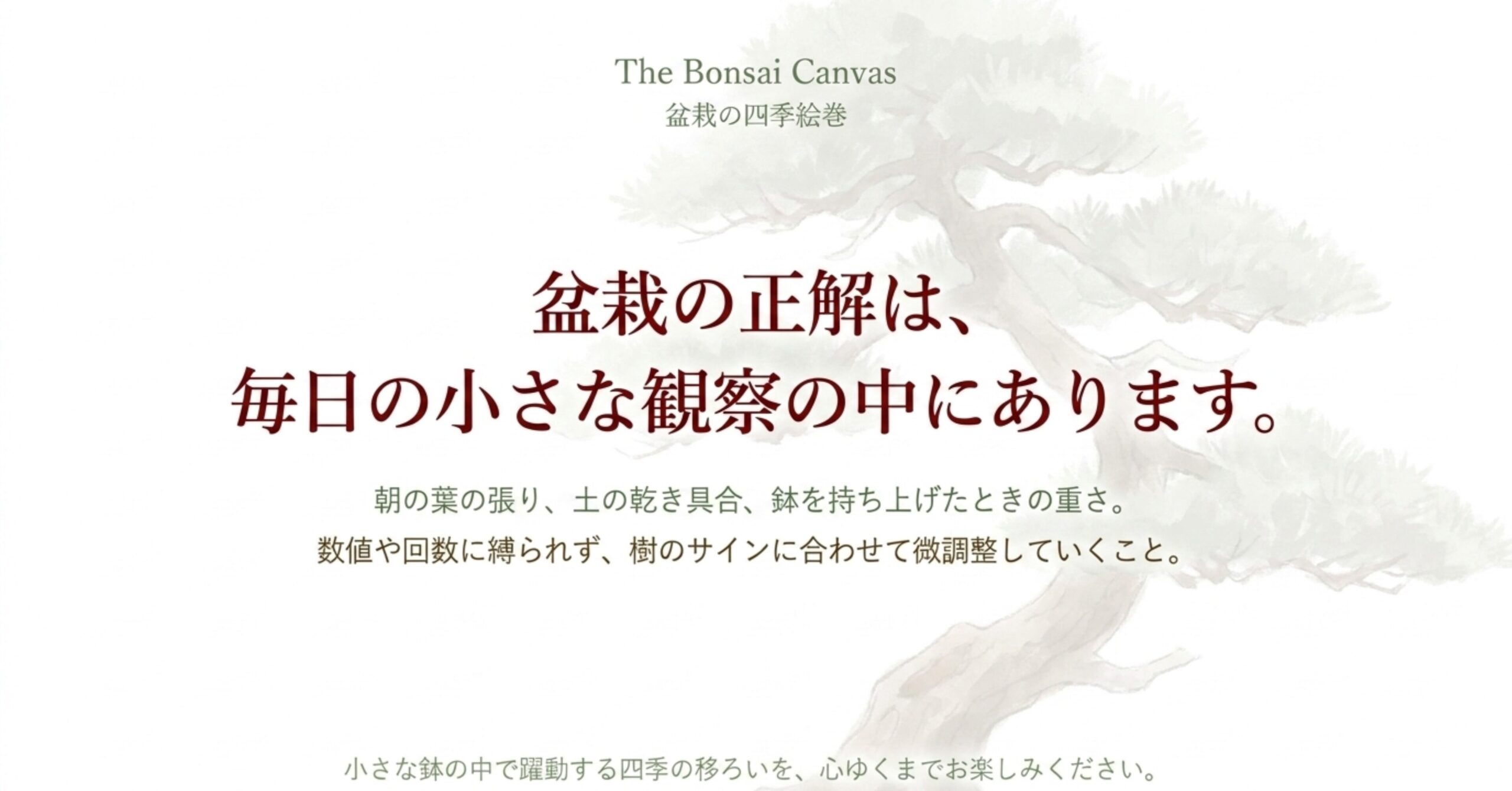盆栽の正解は毎日の小さな観察の中にあります。数値や回数に縛られず、樹のサインに合わせて微調整していくこと。小さな鉢の中で躍動する四季の移ろいをお楽しみください。