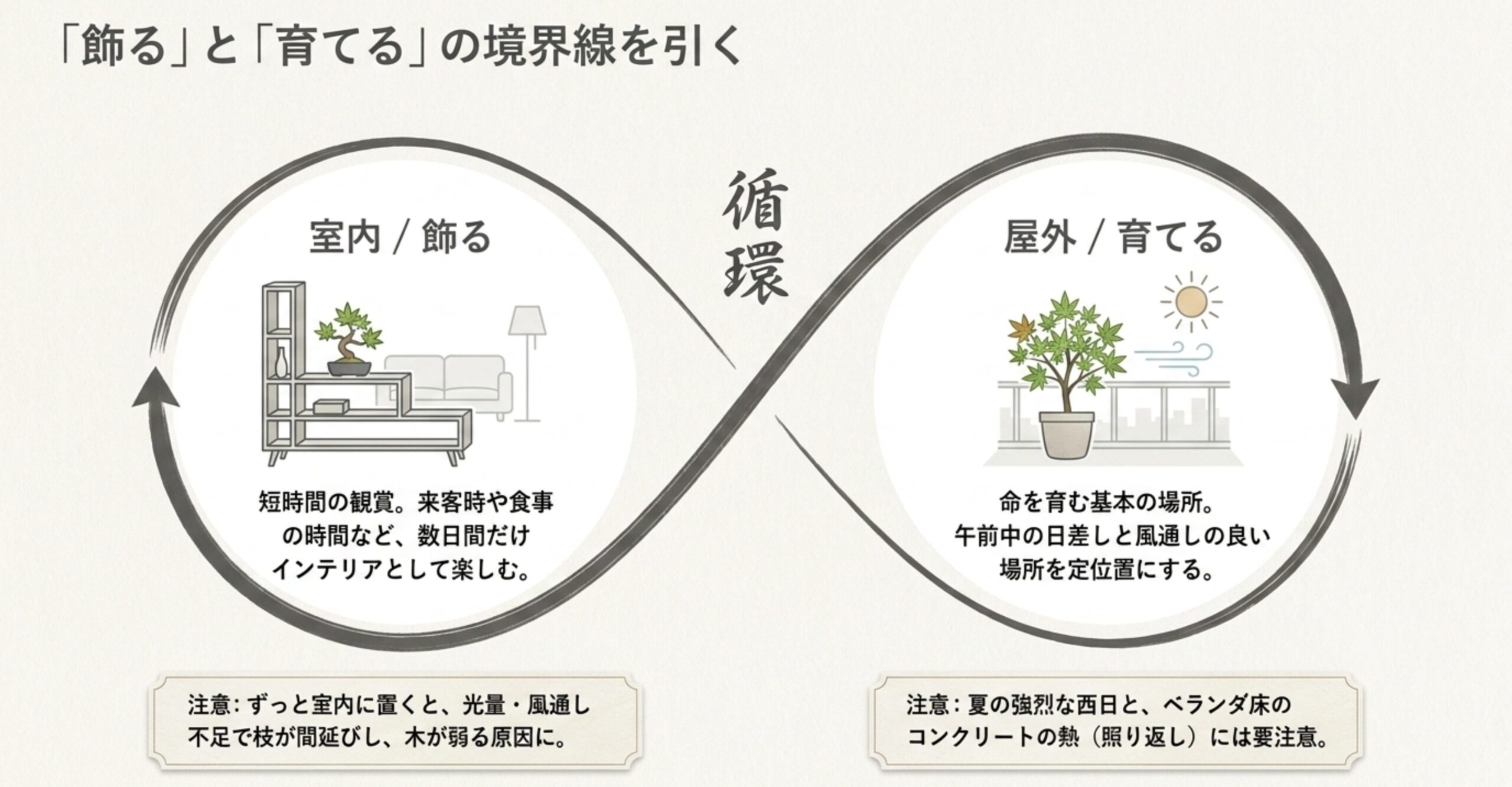 室内での短時間の観賞と、屋外での育成を分ける管理サイクルの図解
