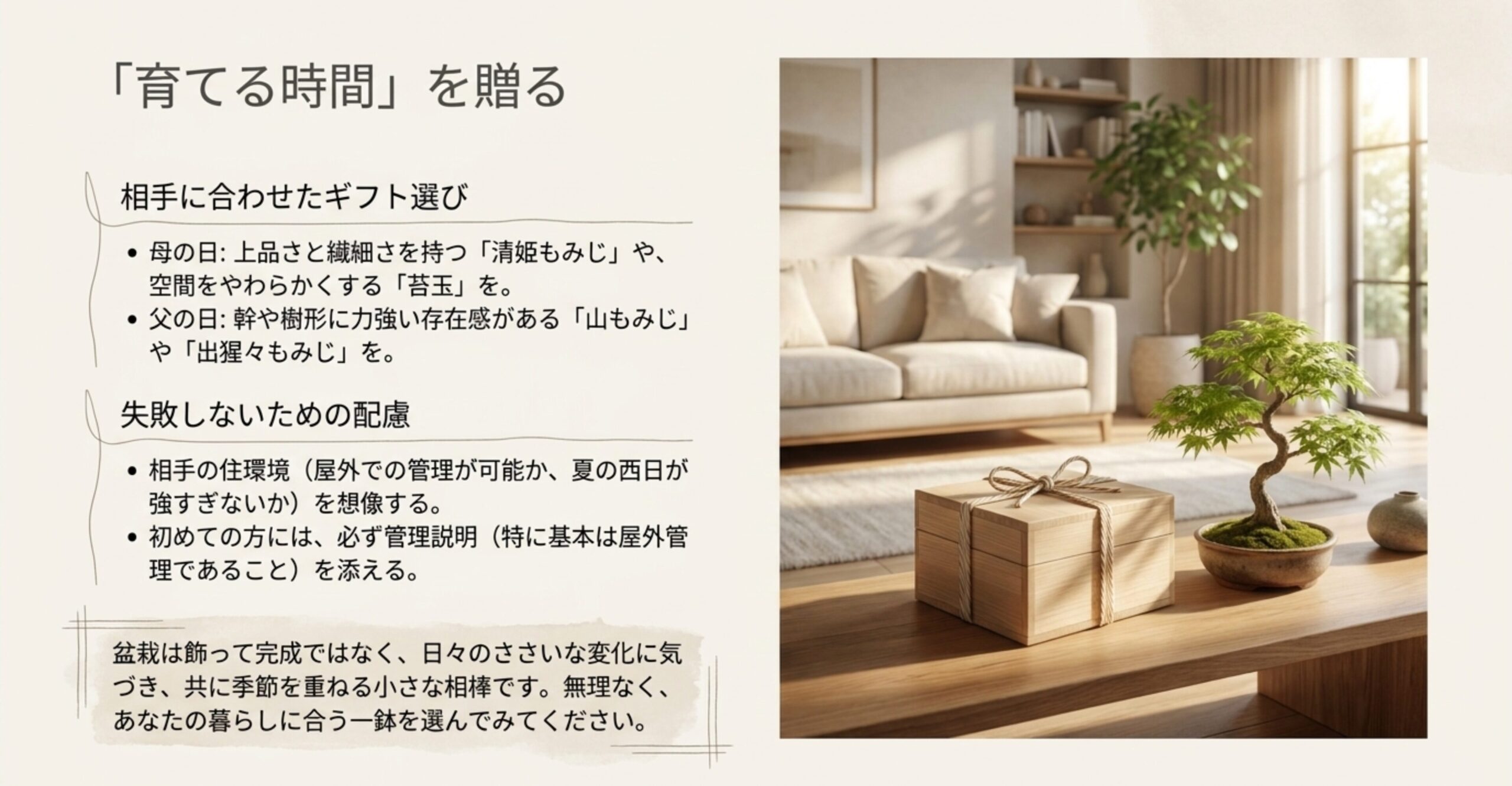 リビングルームのテーブルに飾られたモダンなもみじ盆栽とギフトボックス
