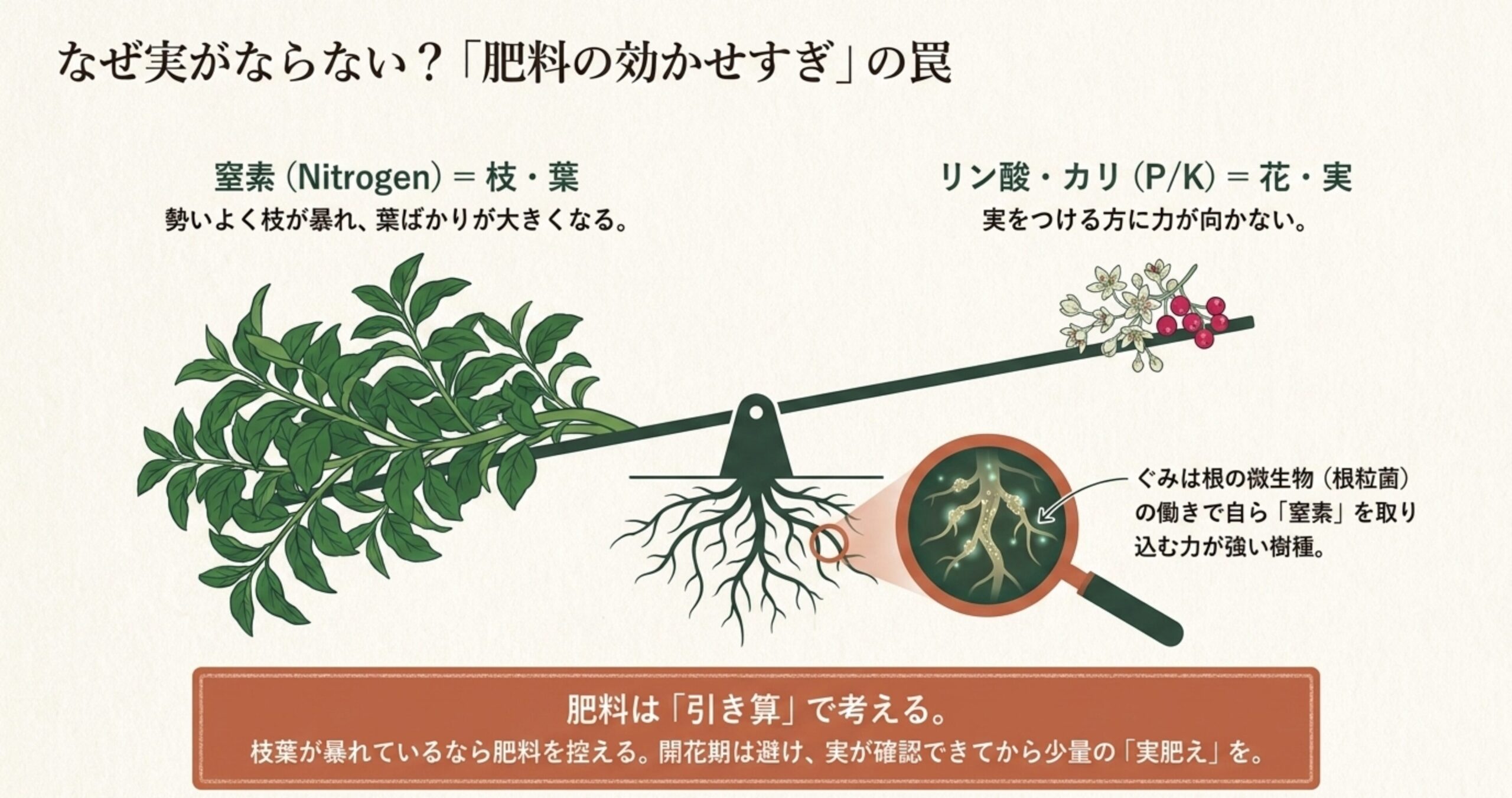 なぜ実がならないのか、窒素肥料の効かせすぎによる枝葉の暴れを図解し、引き算の肥料管理を推奨するスライド。