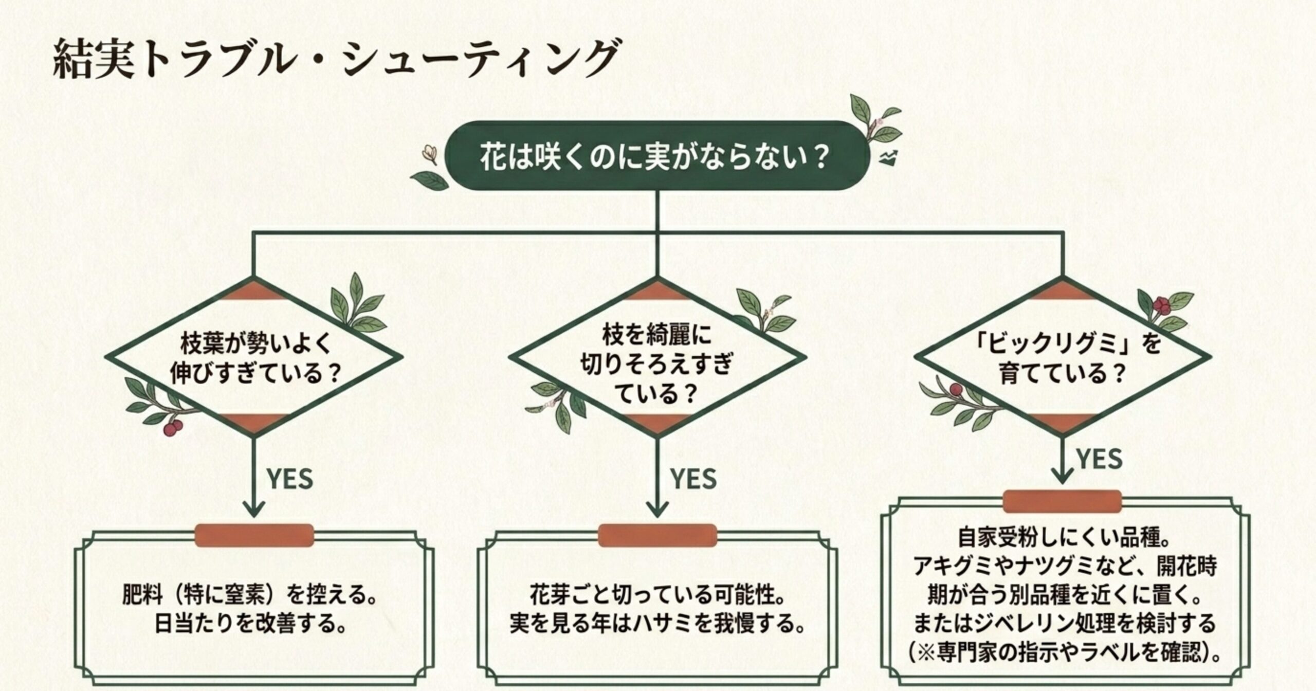 花は咲くのに実がならない原因を探るフローチャート。枝葉の伸びすぎ、切りすぎ、ビックリグミの自家受粉のしにくさに応じた対策を示すスライド。