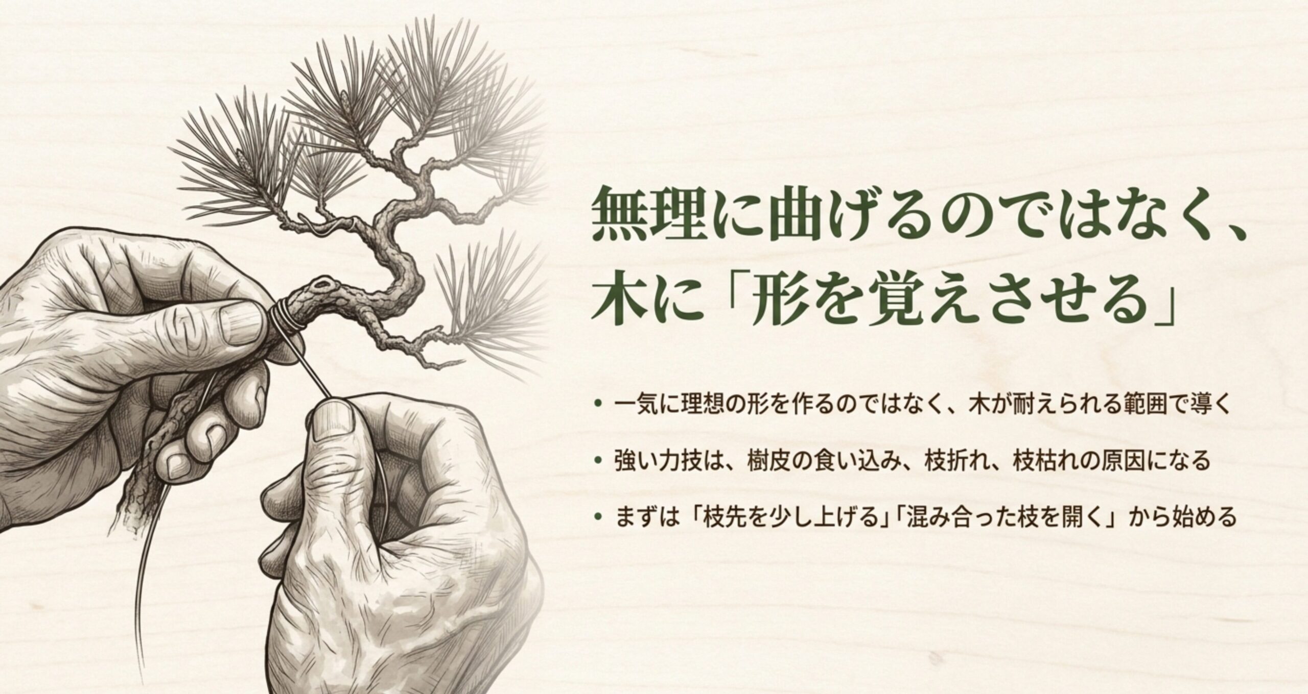 「無理に曲げるのではなく、木に形を覚えさせる」。一気に理想の形を作らず木が耐えられる範囲で導くことや、枝先を少し上げるところから始めるという説明