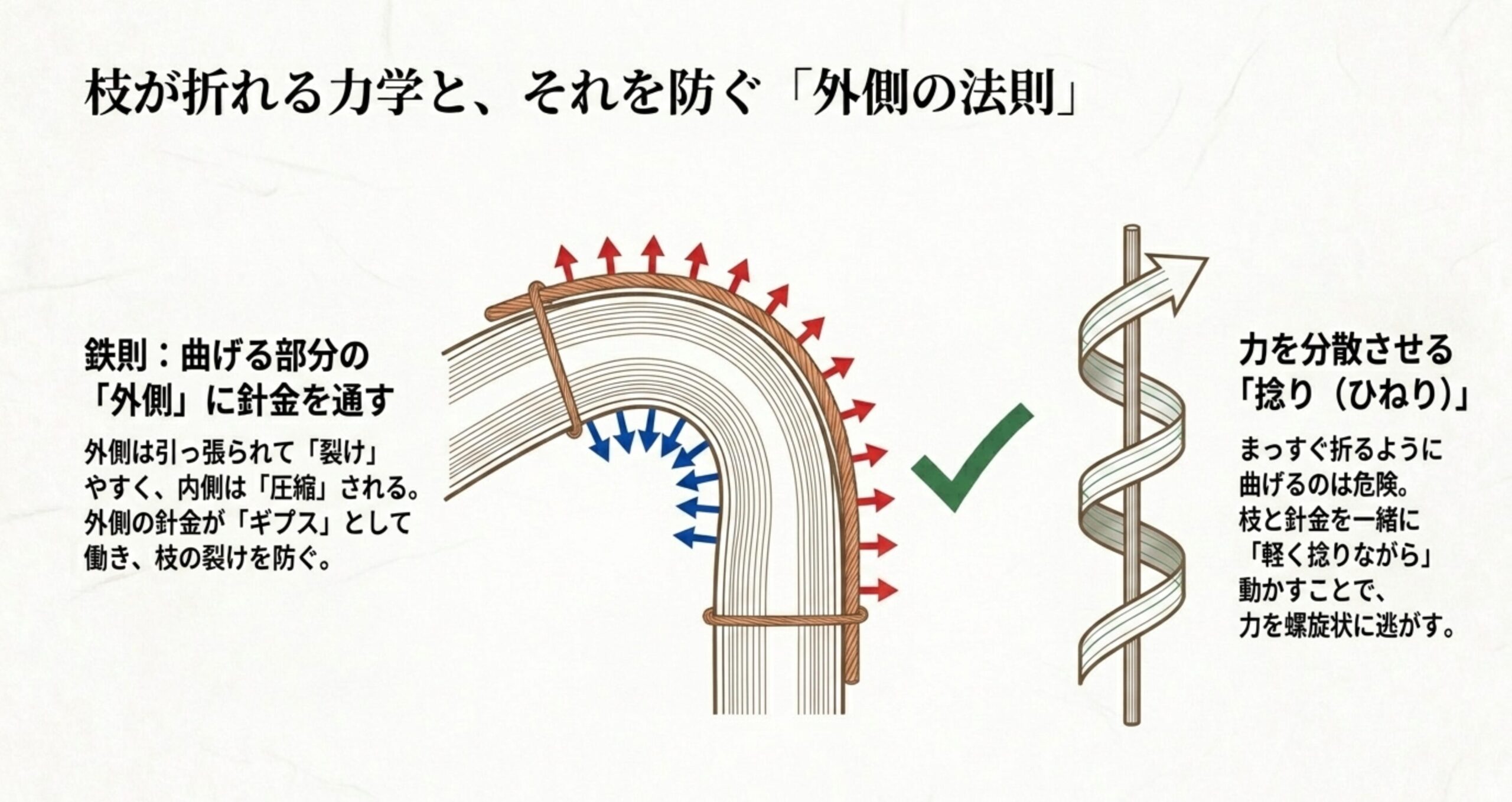 曲げた枝の断面図。外側は引っ張られ、内側は圧縮される様子を矢印で解説。曲げる部分の外側に針金を通すことでギプスとして働き裂けを防ぐ仕組みと、力を分散させる捻りの重要性の説明