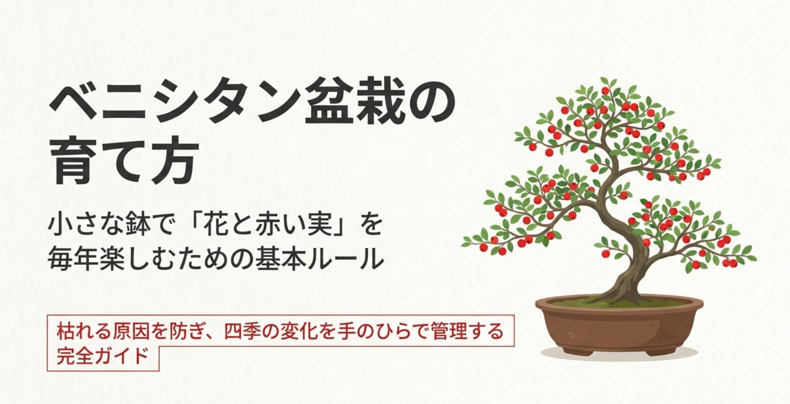 花と赤い実を毎年楽しむためのベニシタン盆栽の育て方完全ガイドのタイトルスライド