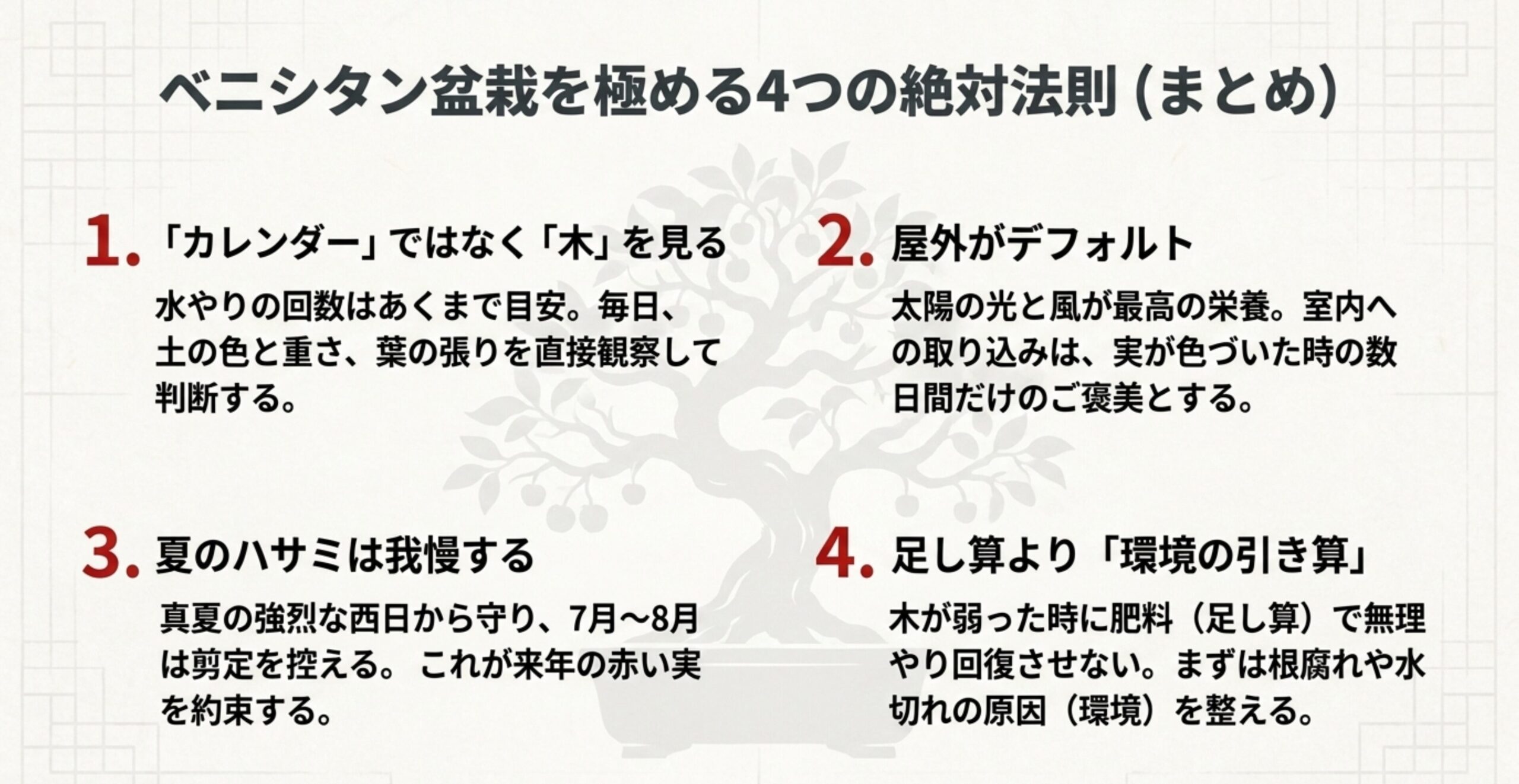 木の観察、屋外管理、夏の剪定控え、環境を整えるという盆栽管理の4つの基本法則のまとめ