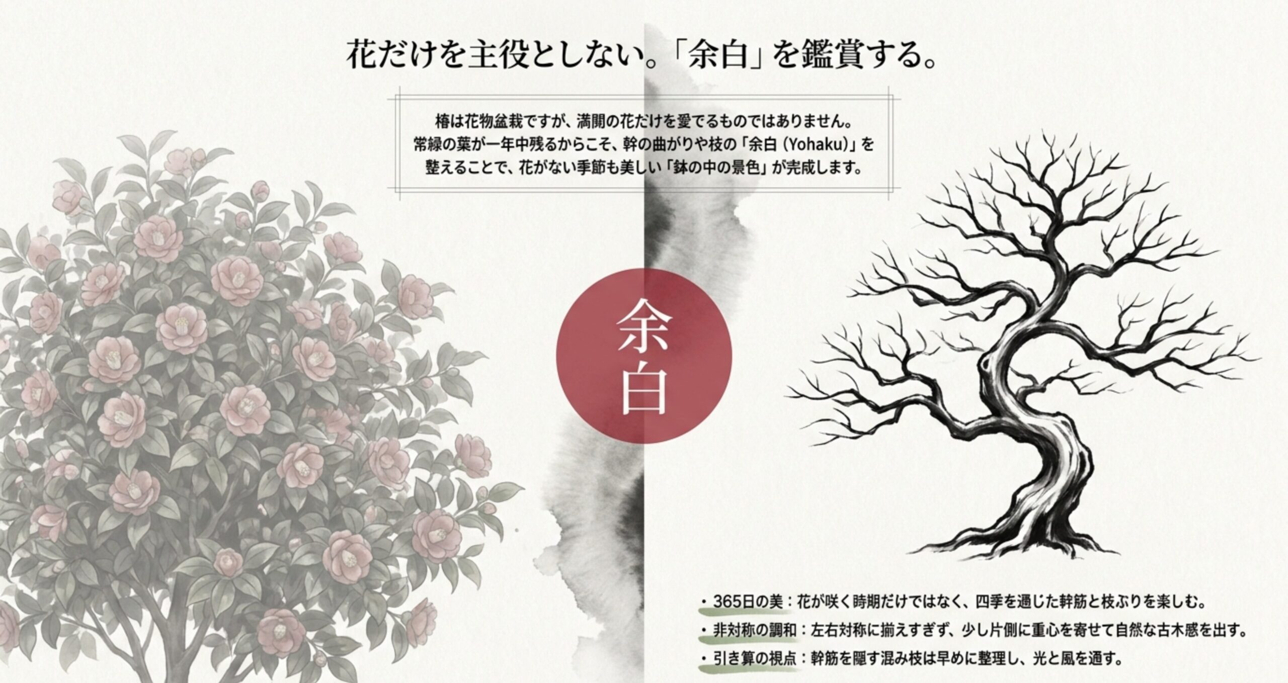 椿盆栽は花だけでなく、幹の曲がりや枝の余白など四季を通じた樹形を楽しむことを説明した画像